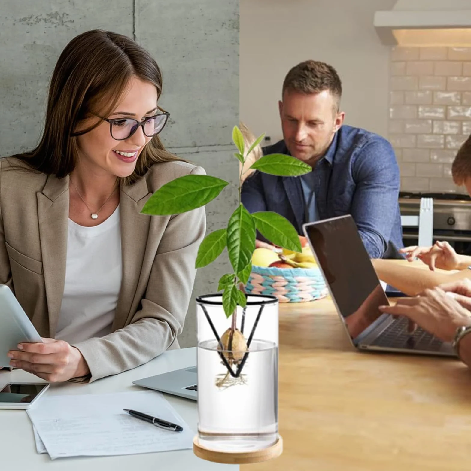 Lot de 4 Kits de Culture d'Avocat Professionnels - Supports de Graines Triangulaires en Métal