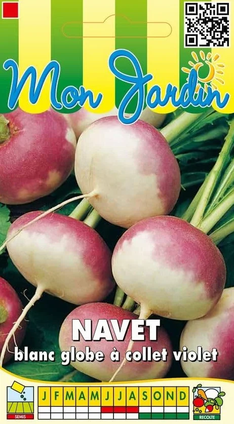 Sachet de graines de Navet blanc globe à collet violet 5 g - LES GRAINES BOCQUET