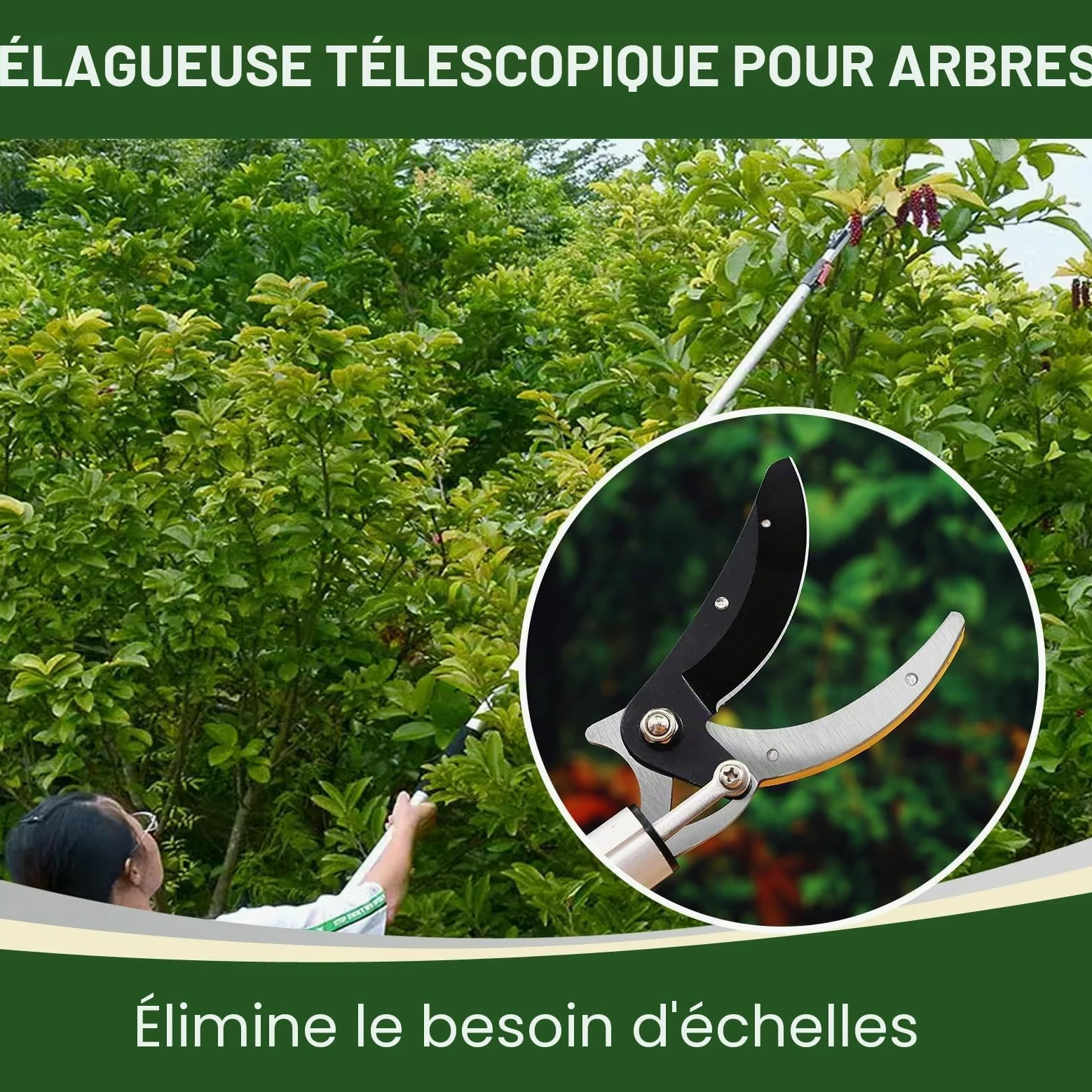 Gardena Sécateur télescopique 3 m, élagueur, sécateur de jardin extensible jusqu'à 3 m, sécateur Gardena avec lame de scie pour couper des arbres et des ciseaux de cueillette de fruits pour la récolte