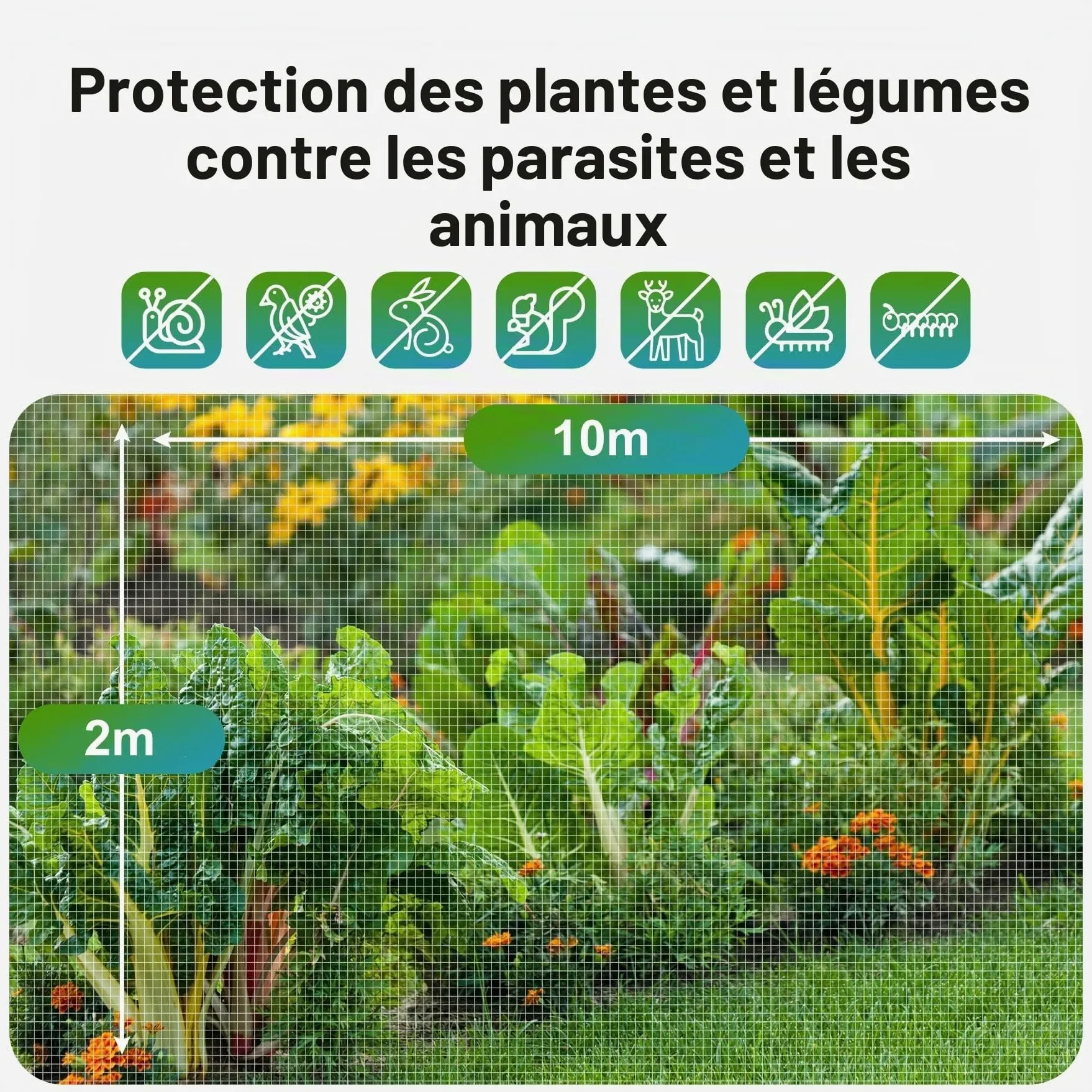 Jardin Filet Anti Insecte Potager: 2 x 10 m Maille Fine Protection pour Poireaux Arbre Fruitier Jardinage Voile de Plantes Blanche | Filet anti-insectes à mailles fines avec protection UV, oiseaux, fruits, nuisibles, cerises, mouches au chou pour légumes