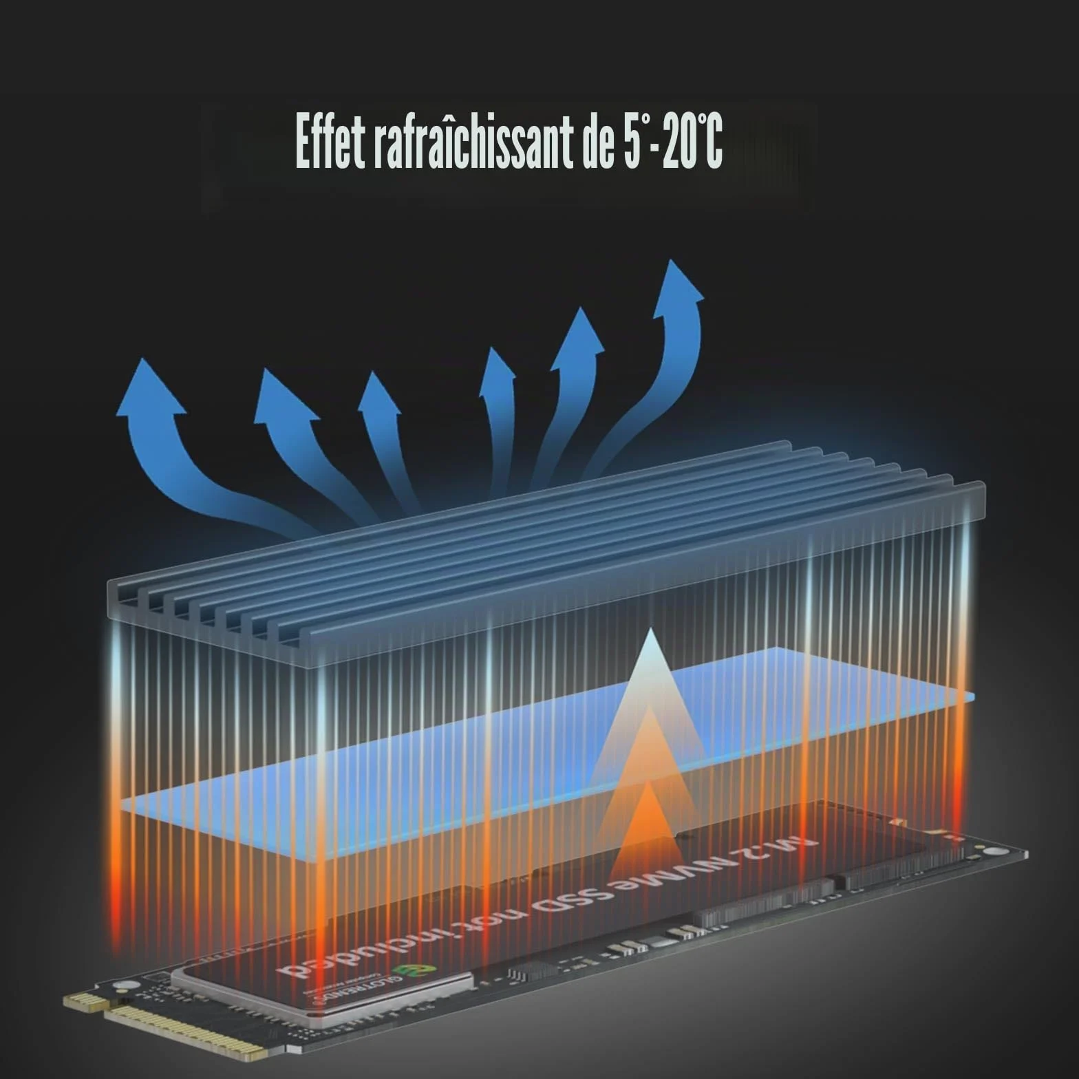 GLOTRENDS PA09-HS Adaptateur M.2 NVMe vers PCIe 4.0 X4 avec dissipateur Thermique pour SSD 2280/2260/2242/2230