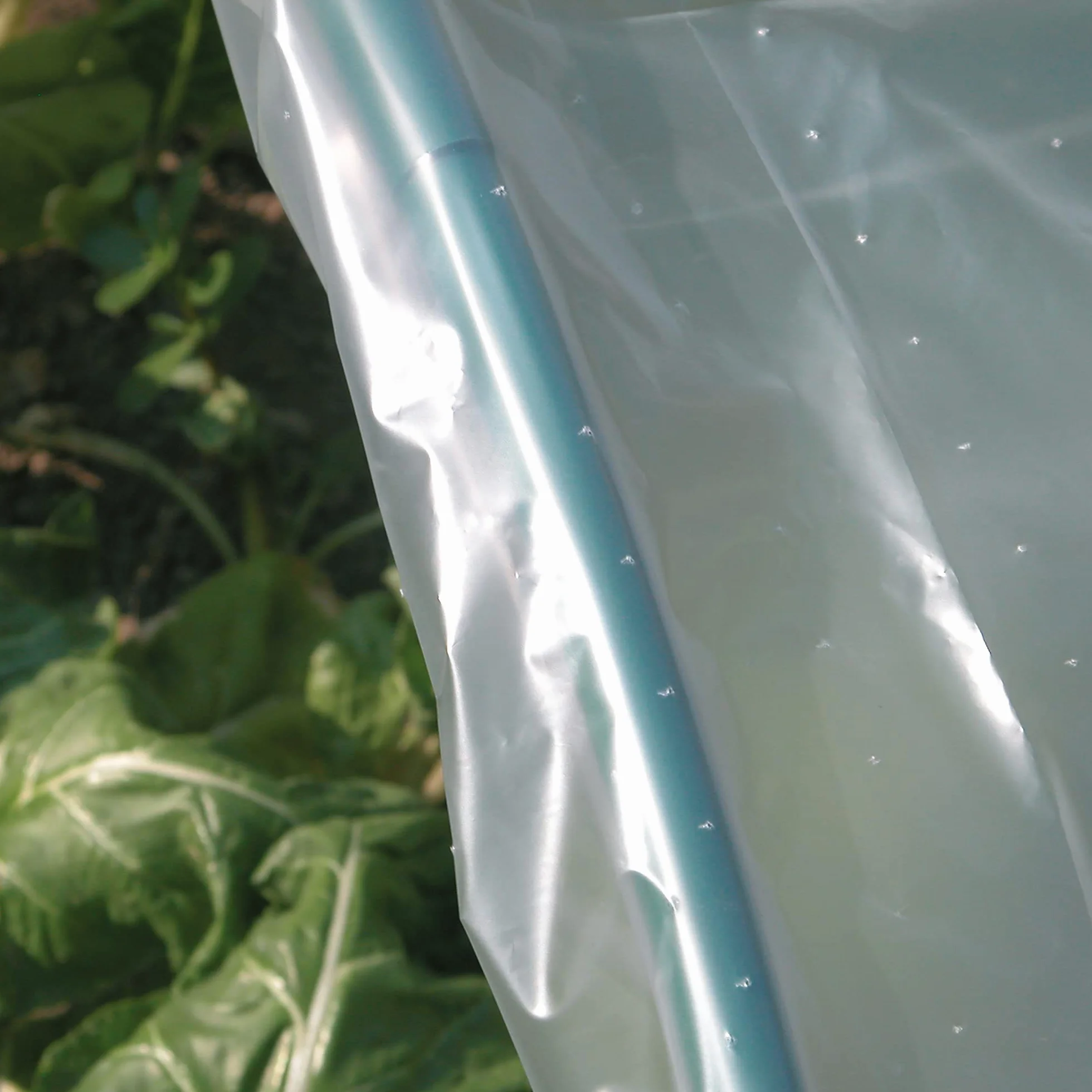 TENAX Dot Film 2,00x10 m Film de Forçage Micro-perforé Transparent Protection Cultures Légumes Plantes Jardin