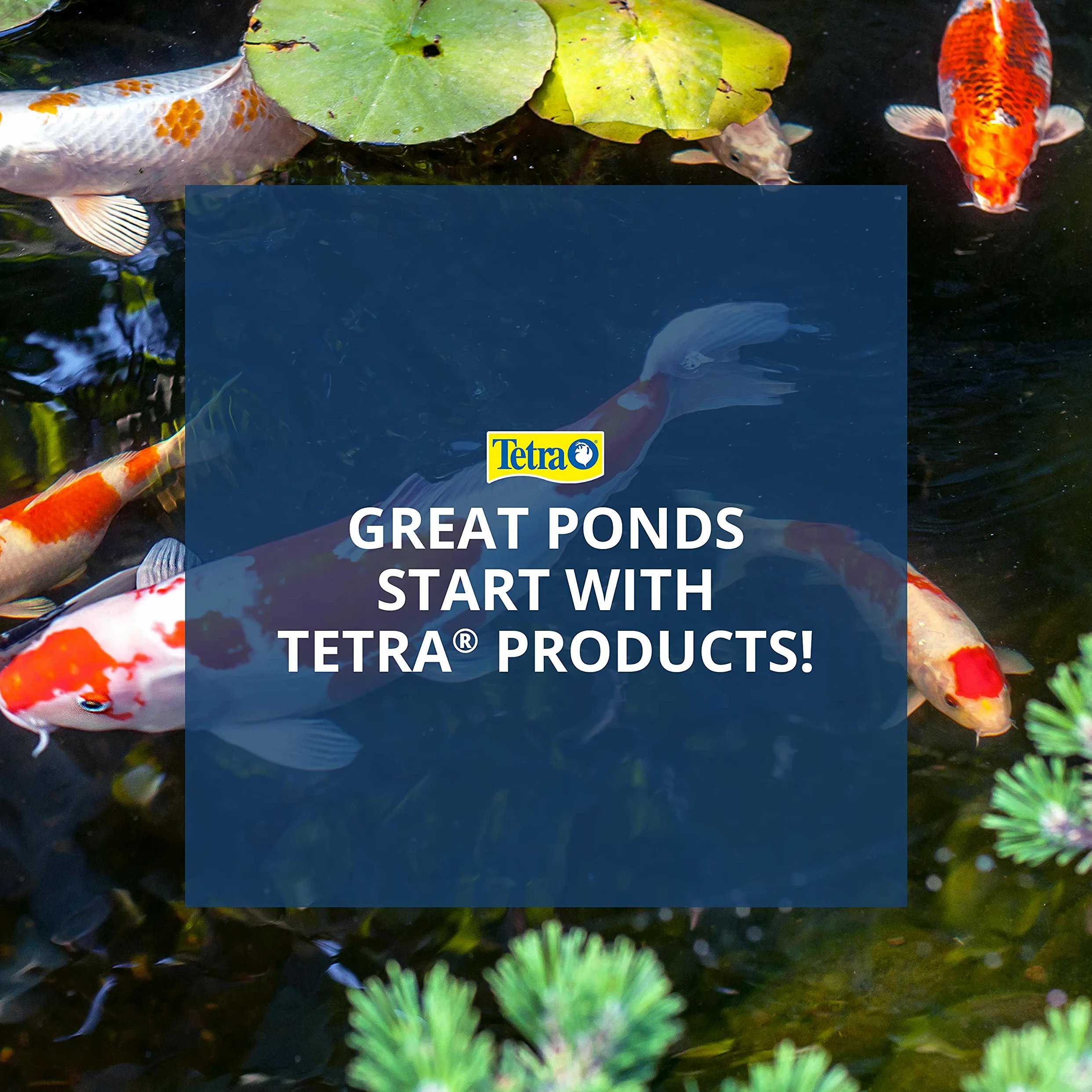 Tetra Pond Filtre Submersible à boîte Plate, pour bassins de 250 à 500 gallons