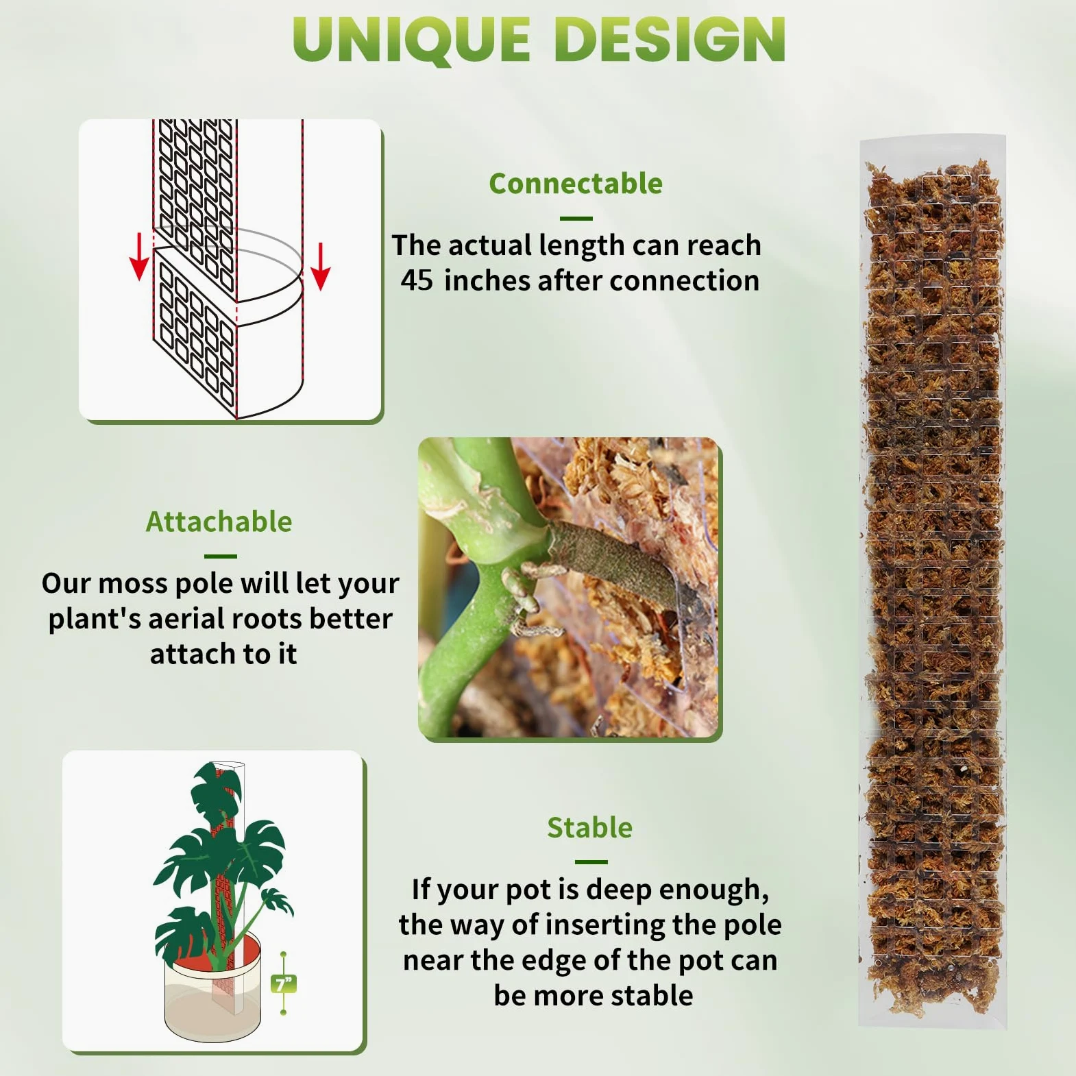 EOX Lot de 4 piquets en plastique de 61 cm pour Monstera, grands poteaux en forme de D pour plantes grimpantes, travail avec mousse de sphaigne, piquets de 228,6 cm, attaches de jardin