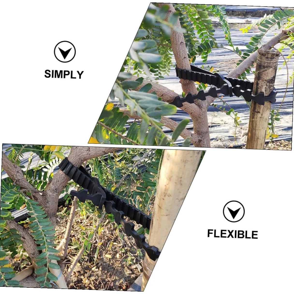 Lot de 10 Sangles en Caoutchouc pour Attache d'arbre Fruitier, Supports Robustes et Ajustables pour Fixation et Formation des Jeunes Plants