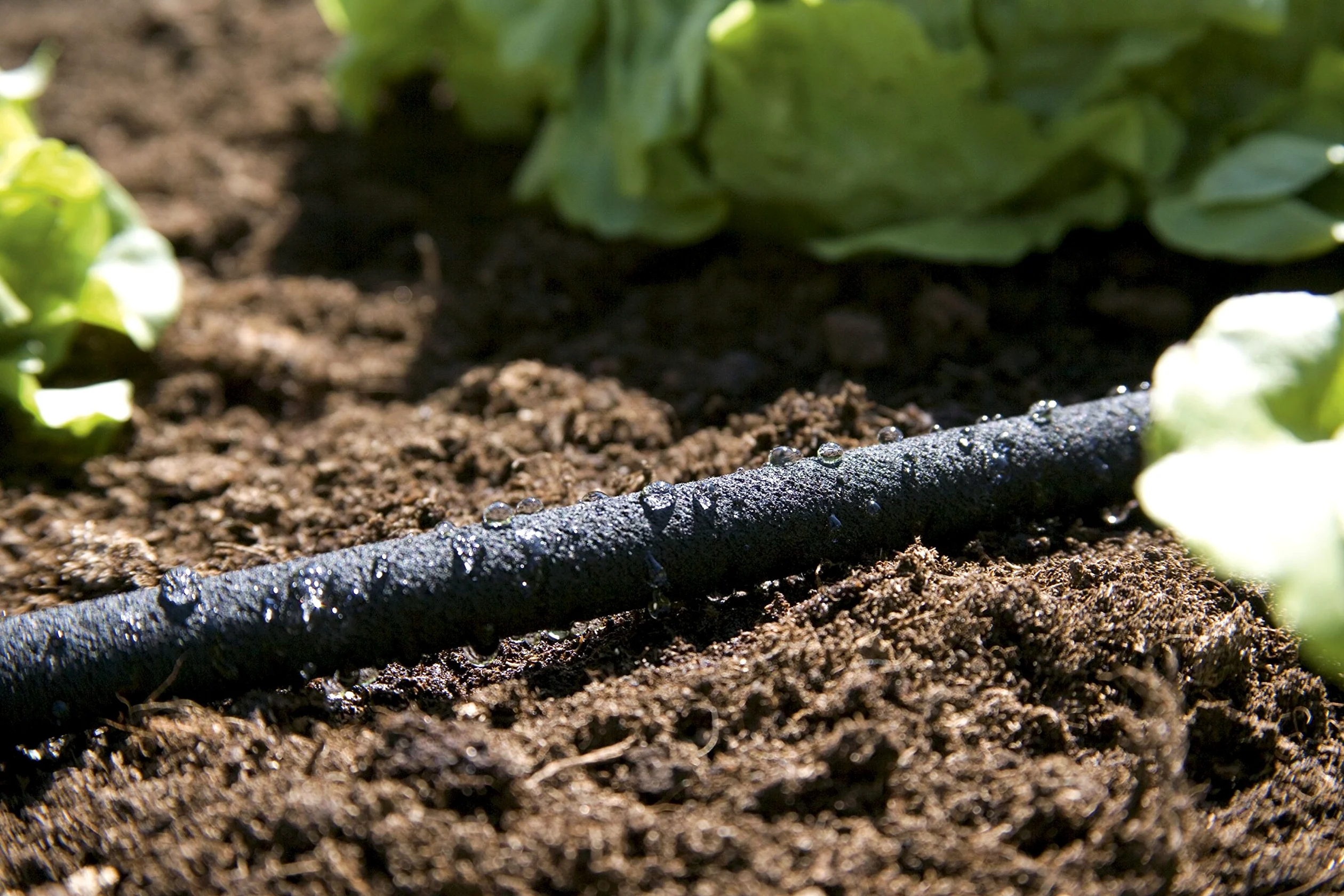 Tuyau d'Arrosage Micro-Poreux Gardena & Kit de Raccordement avec Vanne de Régulation