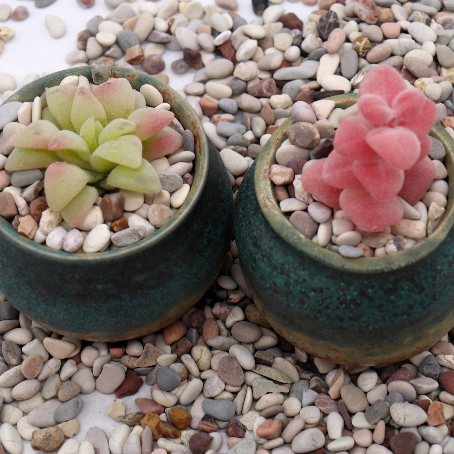Roches pour plantes. Galets décoratifs couleur terre de 1,27 cm - 4,5 kg pour jardin, remplissage de vases, artisanat, plantes succulentes, pots, plantes (mini (0,6 cm), couleurs
