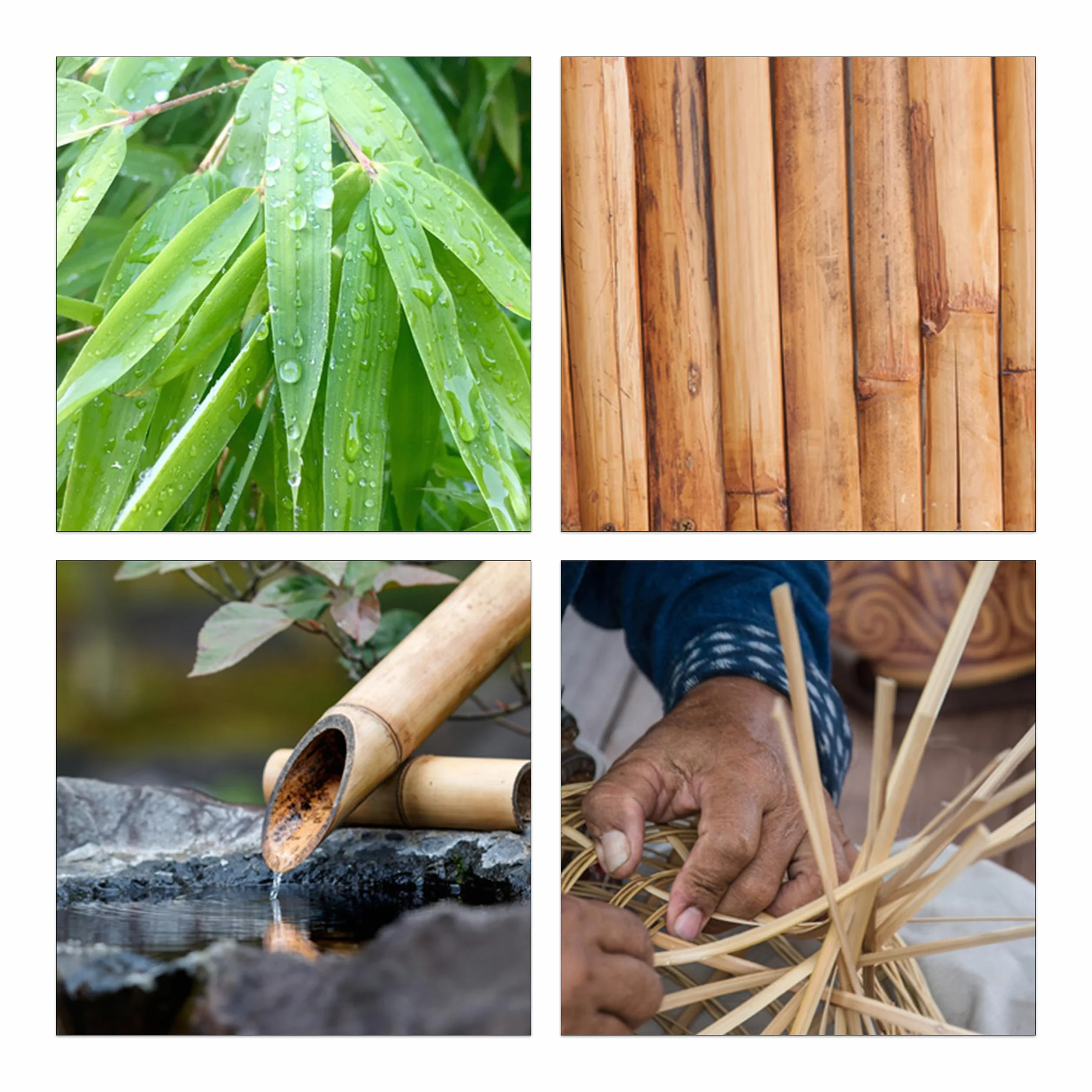 Relaxdays Tuteur pour Plante en Bambou, Lot de 40, 120 cm, Aide à la Croissance des Plantes, Déco, Tiges Bambou, Naturel