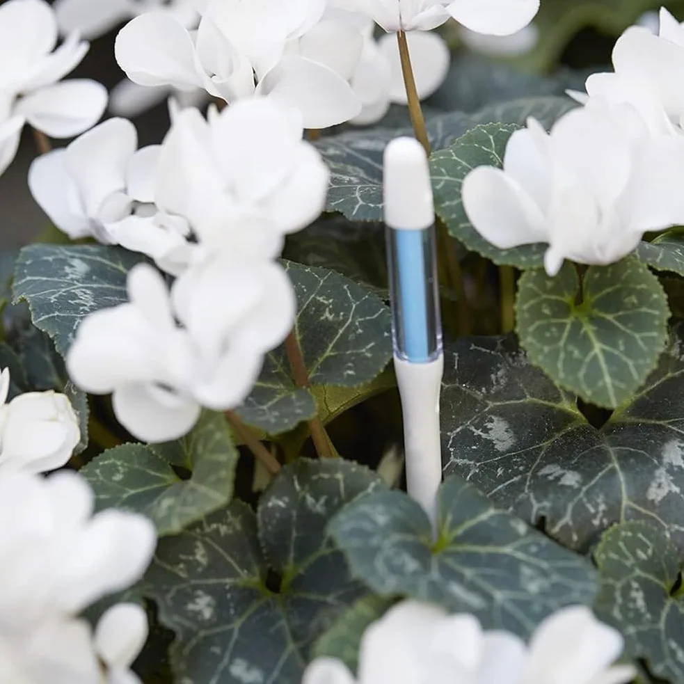 Aquameter Soil Aqua Meter Est un Testeur D'Humidité Du Sol pour Plantes D'Intérieur en Pot.