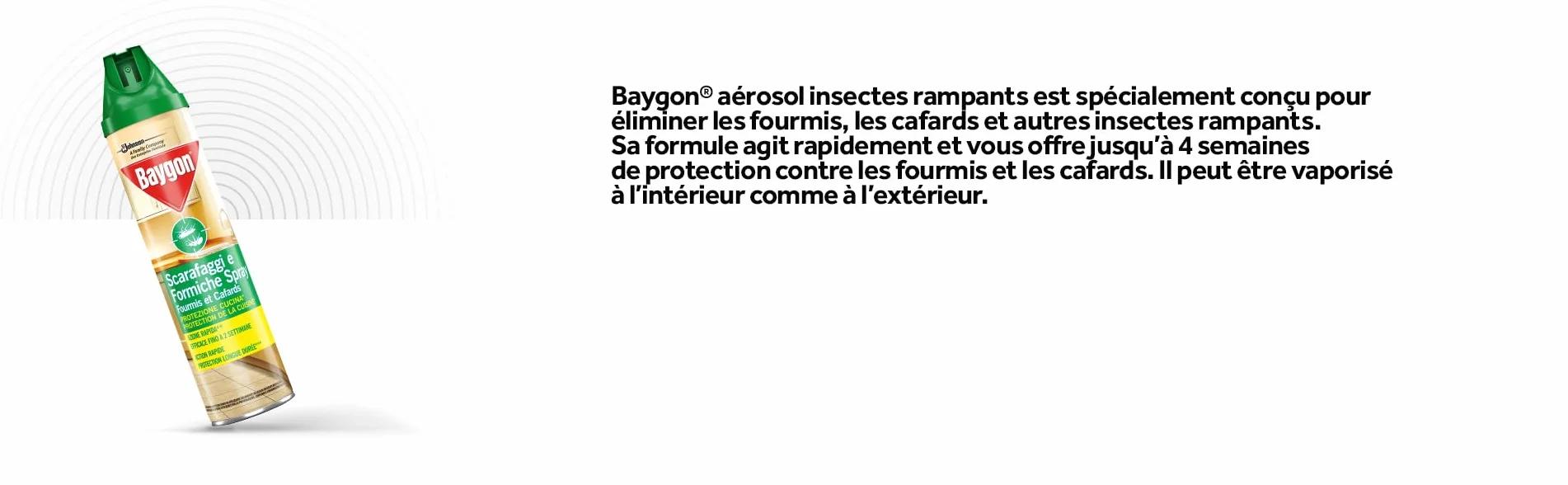 Baygon Insecticide pour cafards et fourmis 400ml