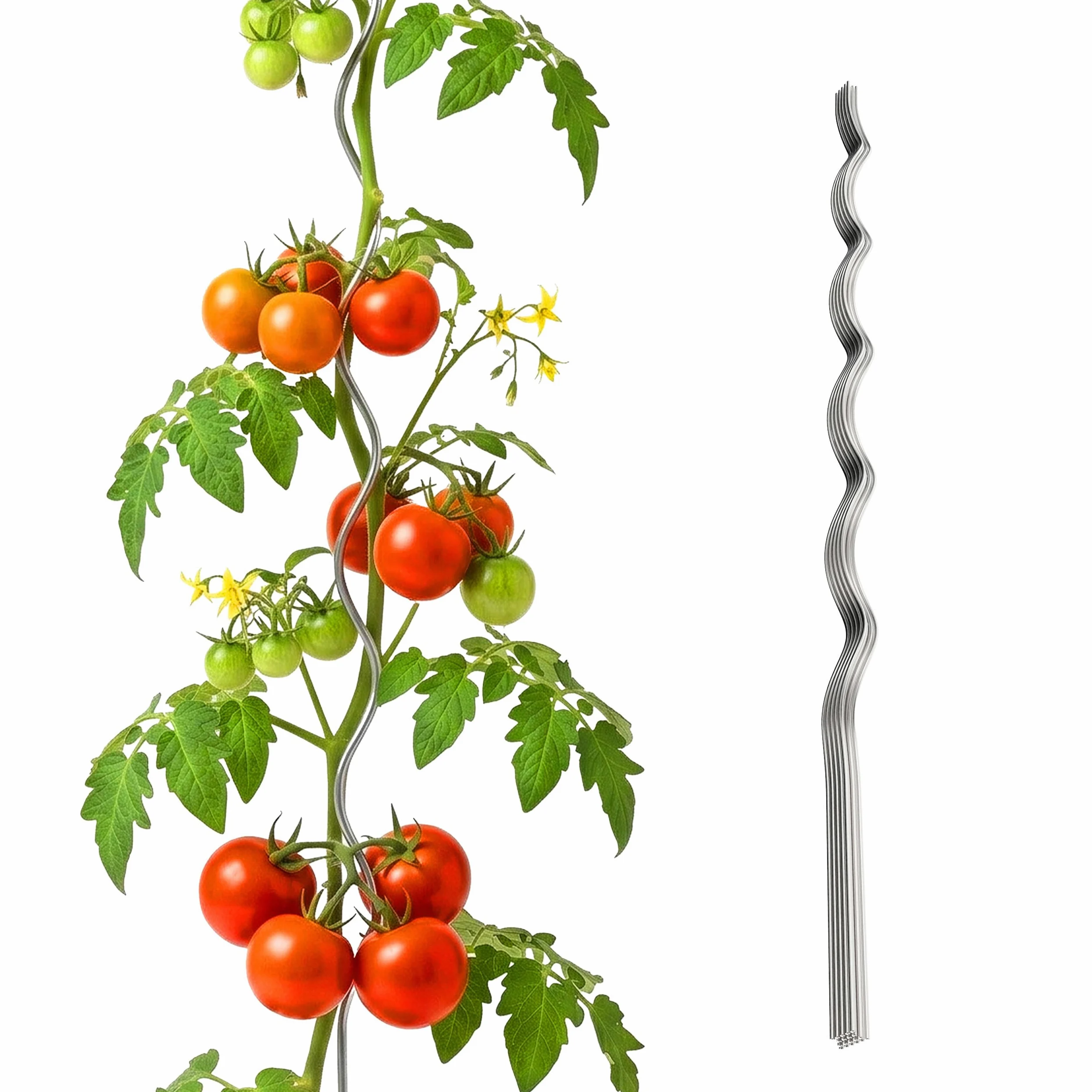 Relaxdays Tuteurs spiraux pour tomates, Lot de 10, H 170 cm, Ø 5 mm, métal galvanisé