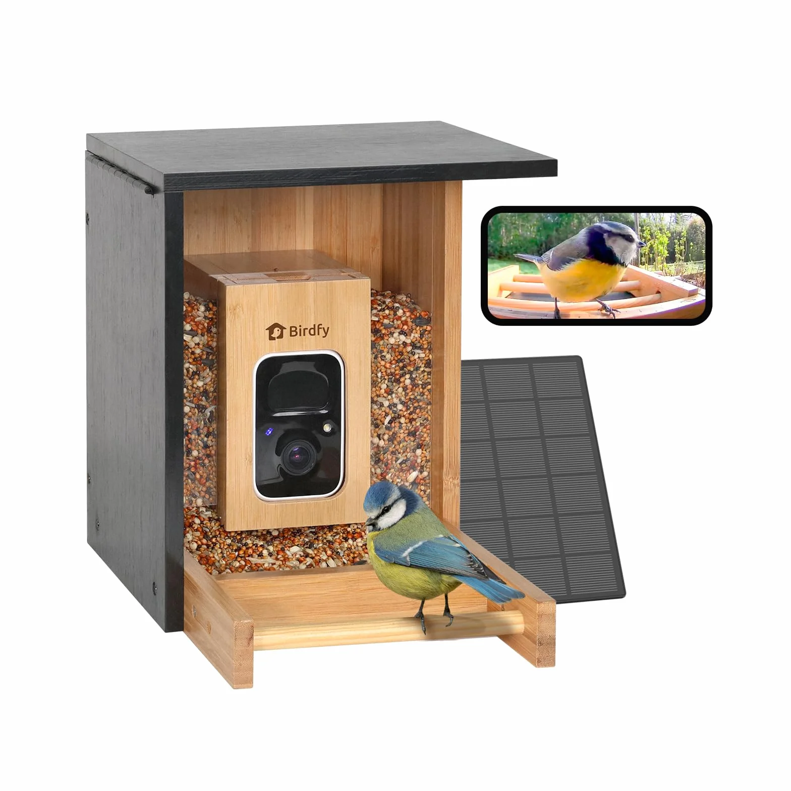 Netvue Birdfy Mangeoire Oiseaux Bambou Caméra Solaire Vision Nocturne Capture Auto Images Vidéos Notification