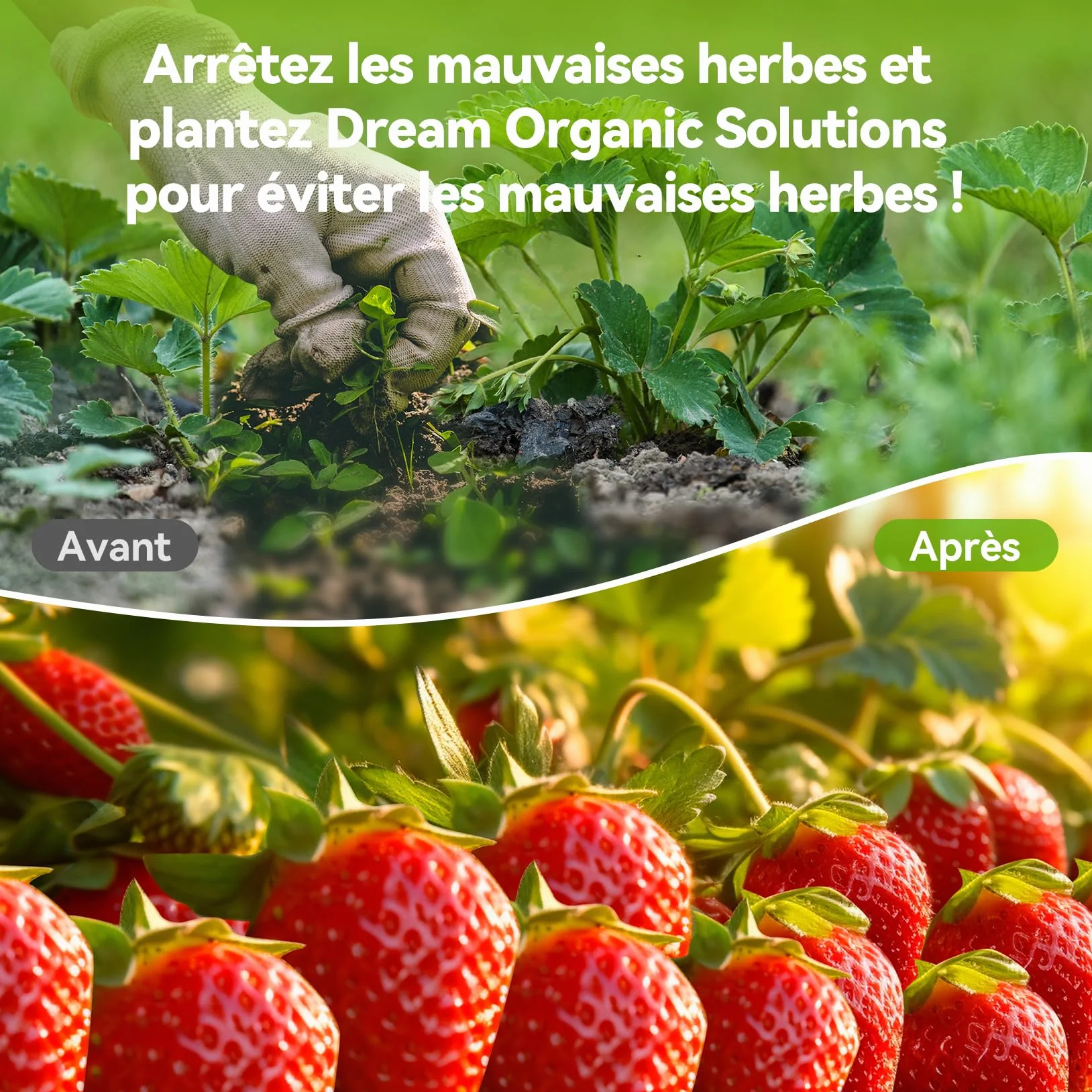 Iropro Toiles de Paillage 2m x 25m 50㎡ Geotextile Anti Mauvaises Herbes Perméable à l'eau Résiste UV Noir