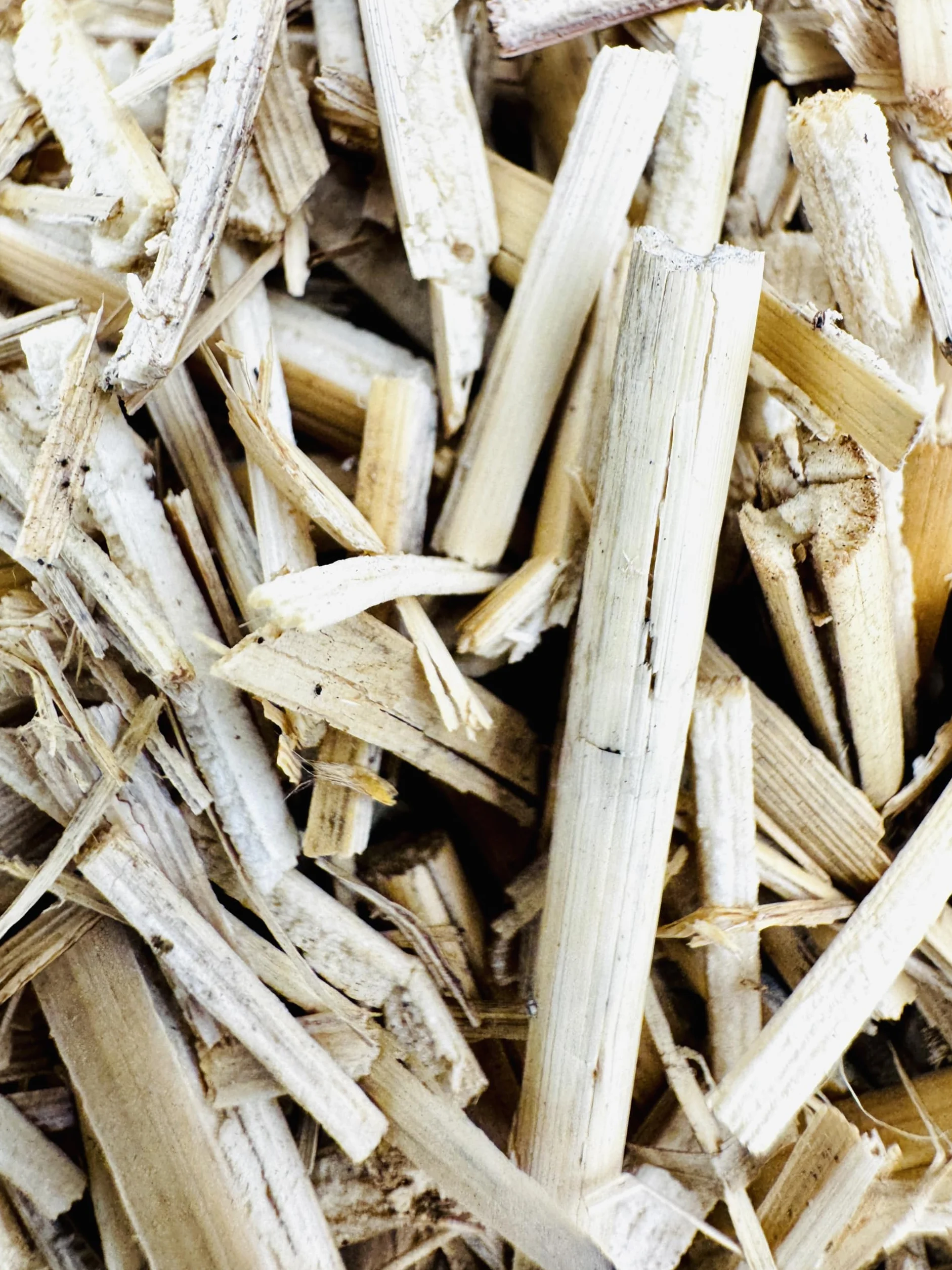Paillage Naturel Miscanthus Français 15 kg (130L) Support de Culture NF U 44-551