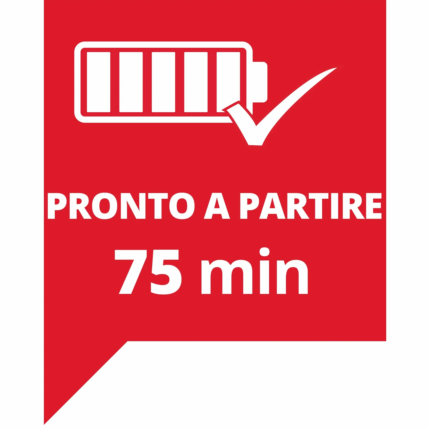 Einhell Tronçonneuse sans fil GP-LC 36/35 Li-Solo Power X-Change (Li-ion, 36 V, longueur de coupe 33 cm, vitesse de coupe 15 m/s, moteur électrique sans balais) + Twincharger et 2 Batteries 4,0Ah