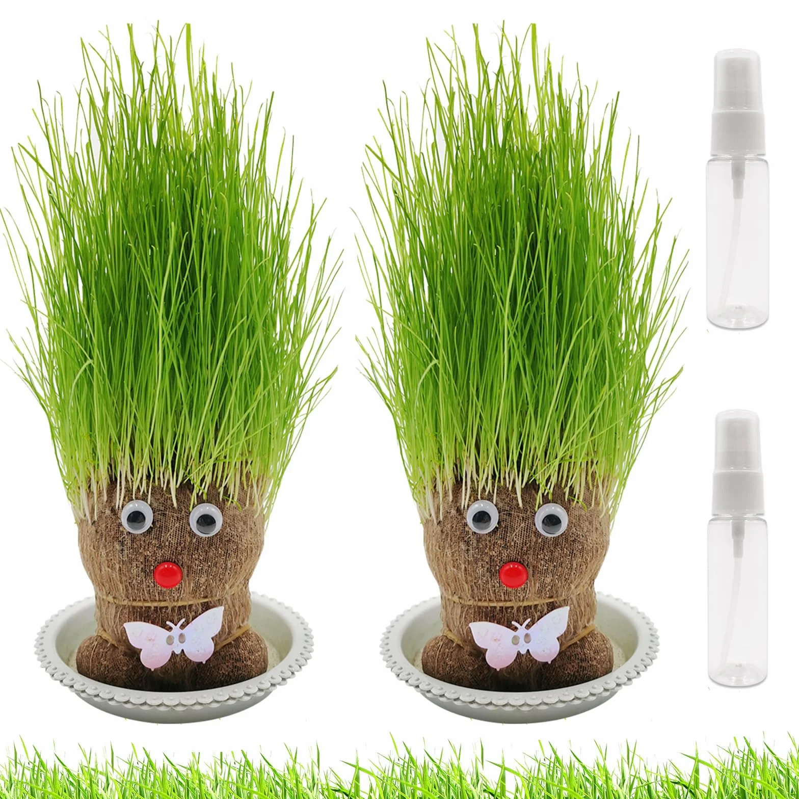 Mini Bonsaï Tête d'Herbe Grass Head avec Plateau - 2 Plantes (M3)