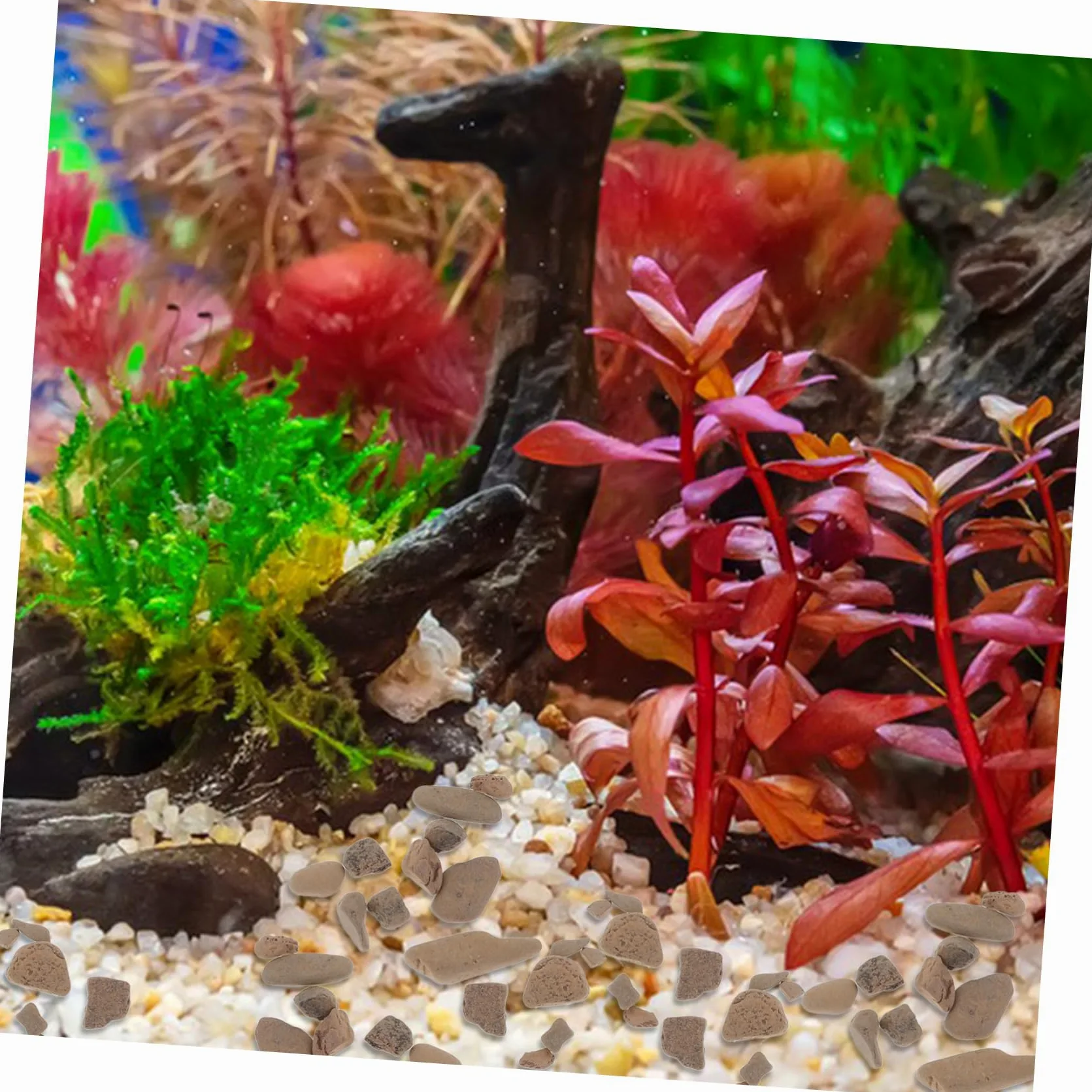 Gravier Pour Aquarium Et Pierre Décorative Pour Pot De Fleurs Petite Pour Étang De Jardin Gravier Remplaçable