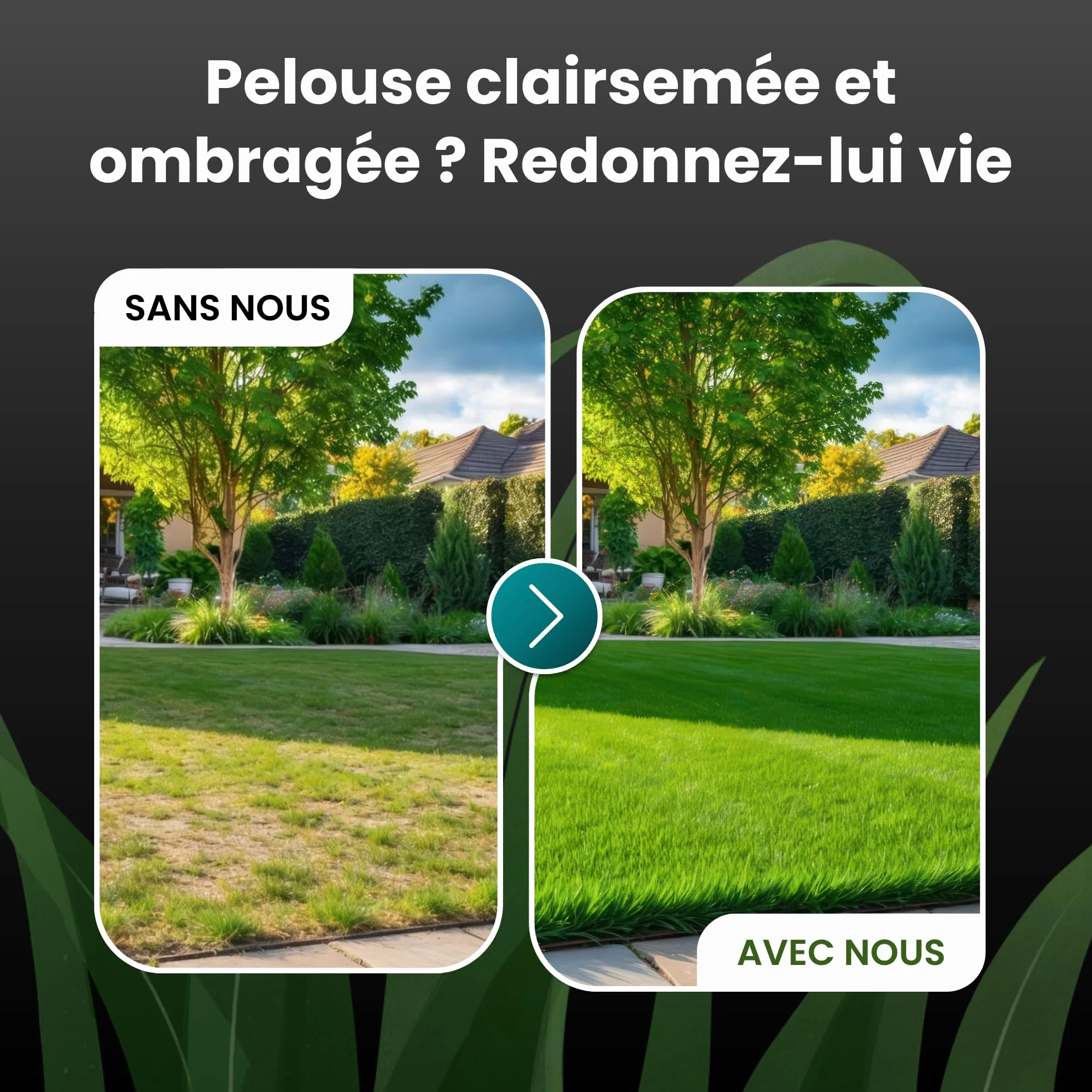 LERAVA Turbo gazon à semer pousse rapide 10m² pelouse ombre zones fraîches 98% pureté rustique vert vif semence résistante