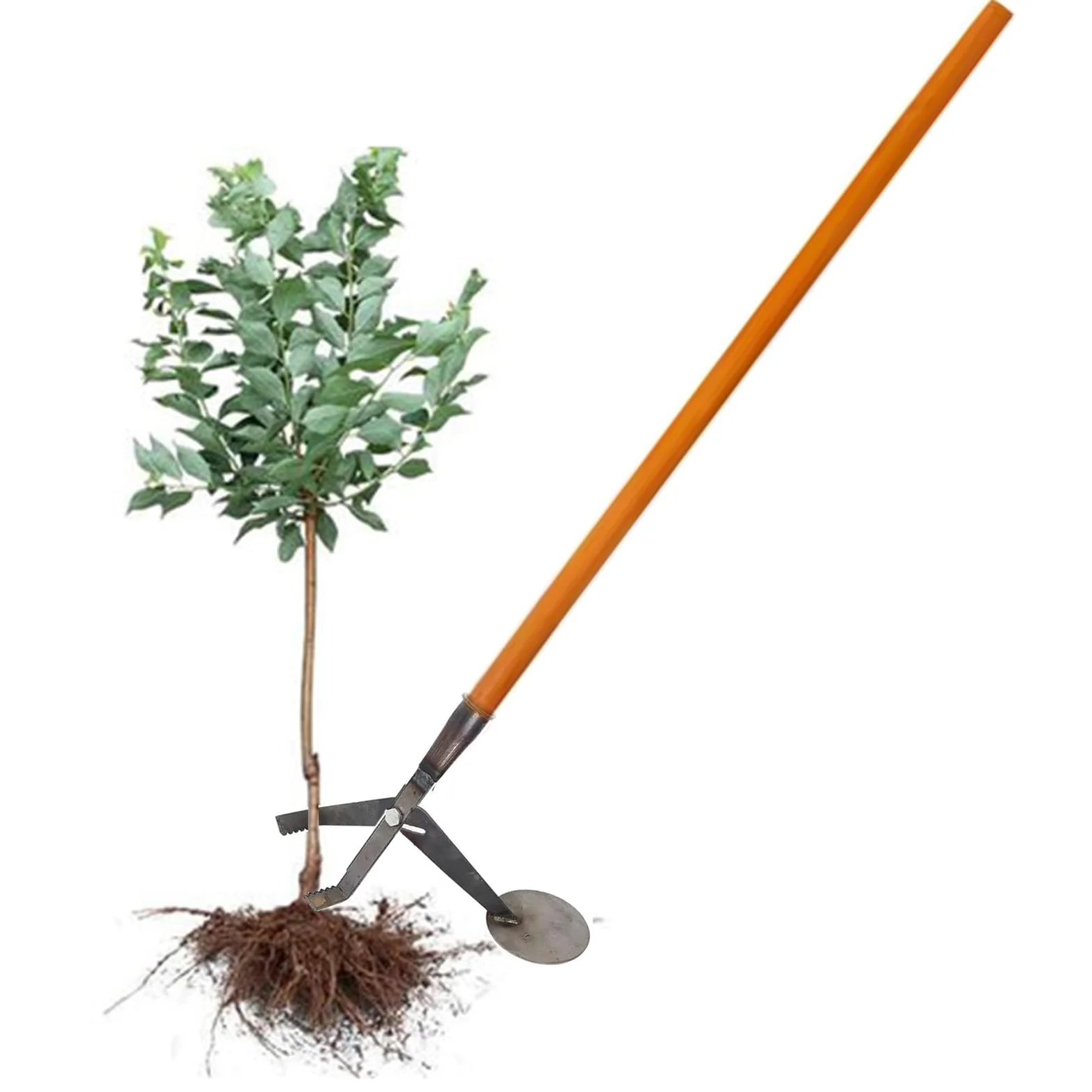 Extracteur d'arbres et d'arbustes – Désherbeur en acier durable pour un déracinement facile des tiges ligneuses, tête dentelée, 103 cm de long, outil de jardinage essentiel pour enlever les plantes