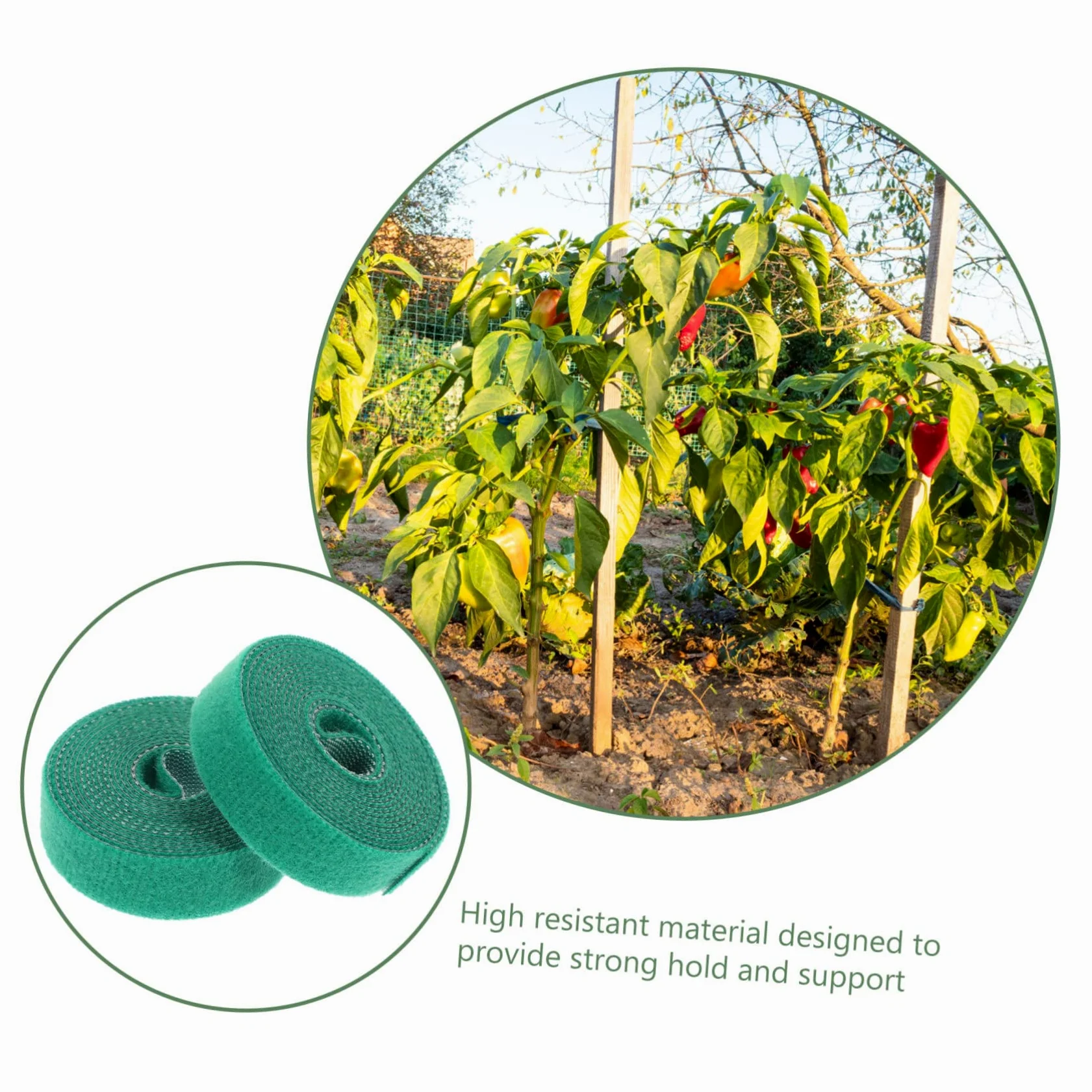 INOOMP 10pièces Ruban De Liaison pour Plantes Réutilisable Ajustable Support De Croissance pour Jardinage Chacun