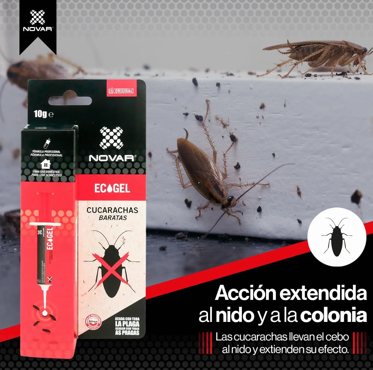 Seringue Anti-Cafards Appât Gel Insecticide Puissant 10g
