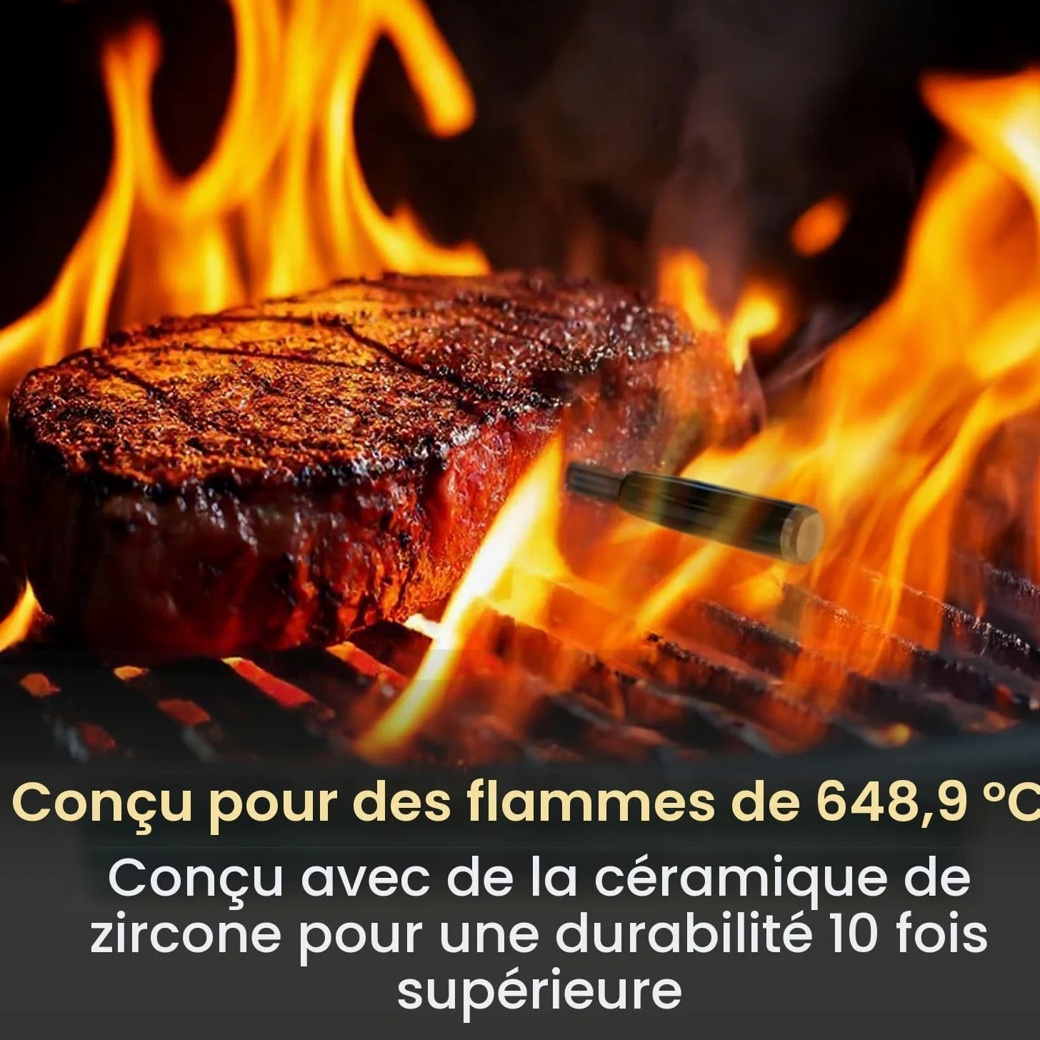 MeatStick V – Thermomètre à Viande Sans Fil, Jusqu’à 650 °C, 6 Capteurs de Température, WiFi à Portée Illimitée, Idéal pour Barbecue, Fumoir, Four et Friteuse à Air