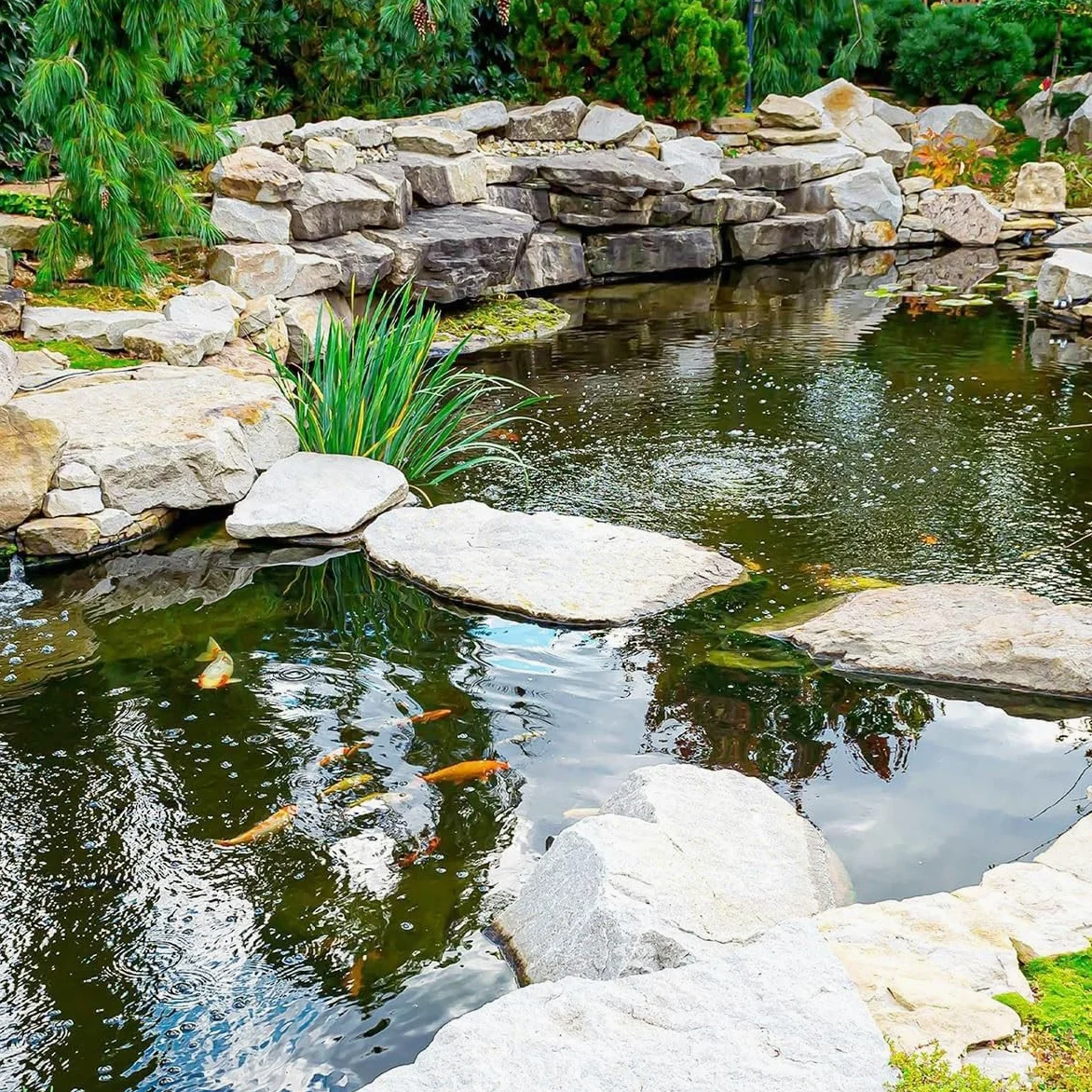 Bâche pour Bassin 8x10m HDPE Bâche D'étang 6x8m Doublure D'étang Étanche 4x6m Revêtement pour Bassin À Poisson Bâche pour Étang pour Étangs à Poissons, Cascades, Fontaines, Jardins Aquatiques(10 x 26f