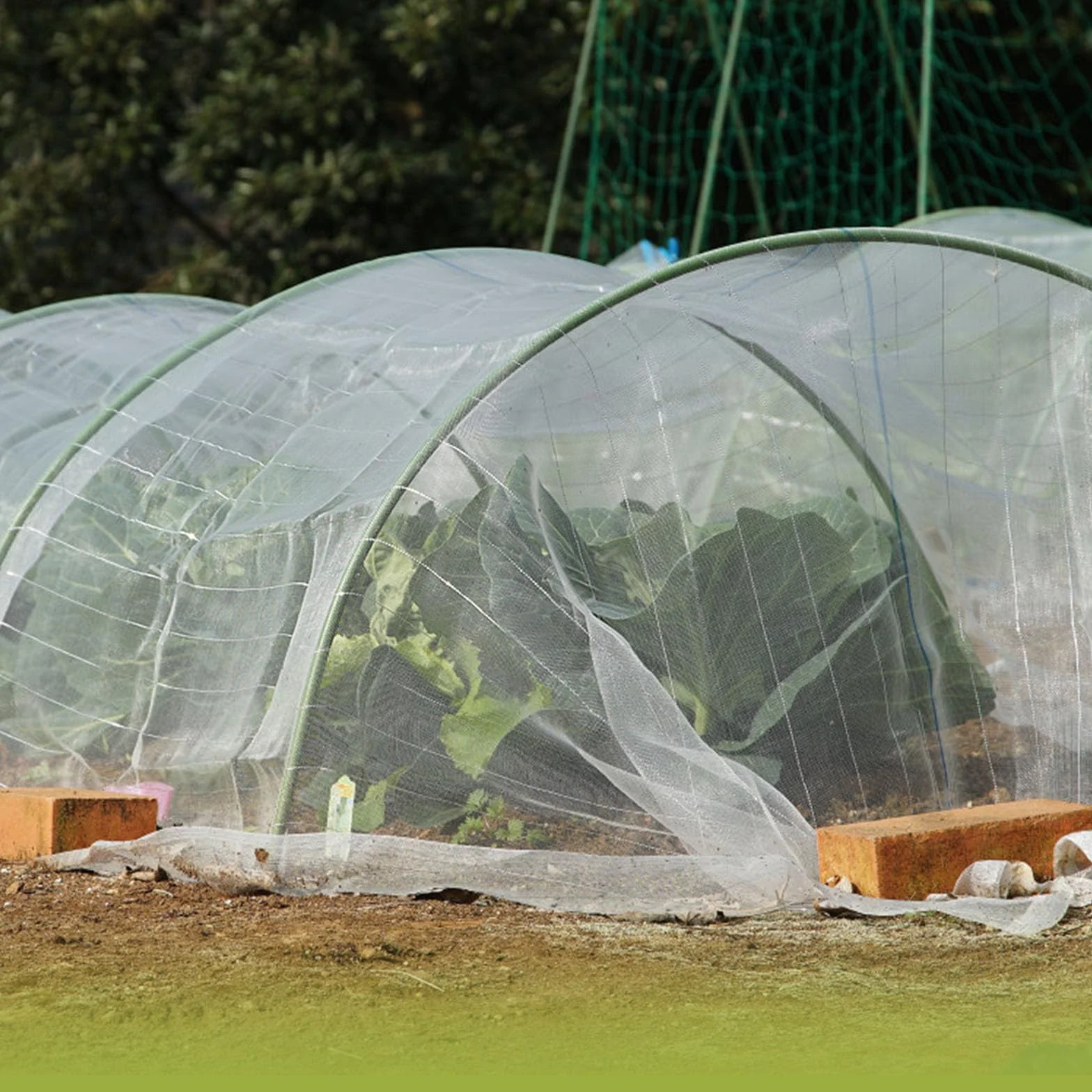 Filet à légumes de Jardin 3 x 6 m - Filet de Protection Contre Les Insectes pour Plantes et Légumes