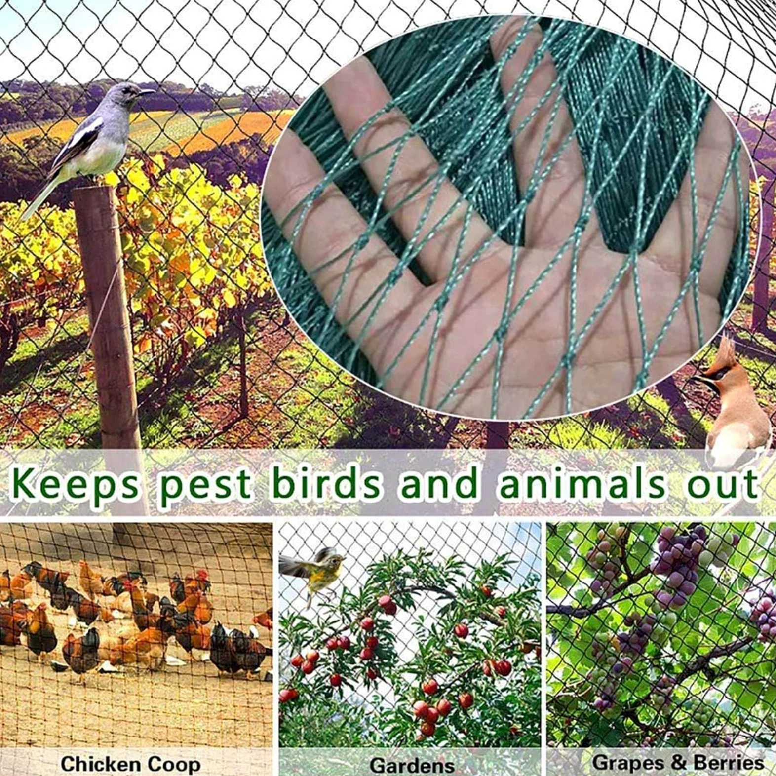 Filet Oiseaux Arbre Filets pour Jardin Protégez Arbres Fruitiers Protéger Les Plantes, Les Fleurs et Les Légumes,4x10m