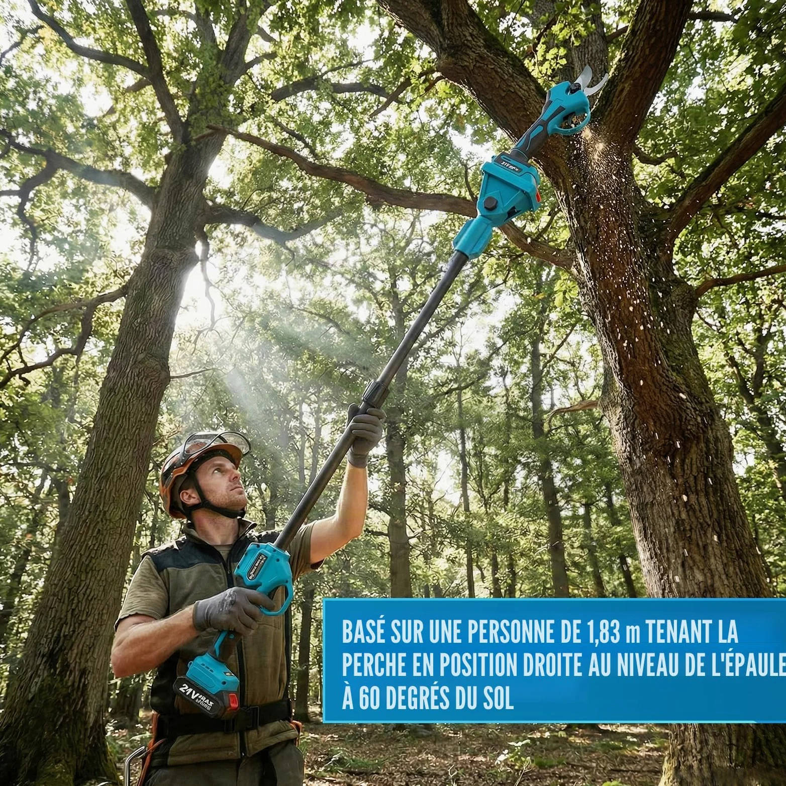 4 en 1 Élagueuse sur Perche sans Fil, 6'' Tronçonneuse Électrique Sans Fil, Secateur Electrique avec Perche Réglable de 1,32 à 2,3 m, avec 2 Batteries et Chargeur pour l'élagage et le Jardinage