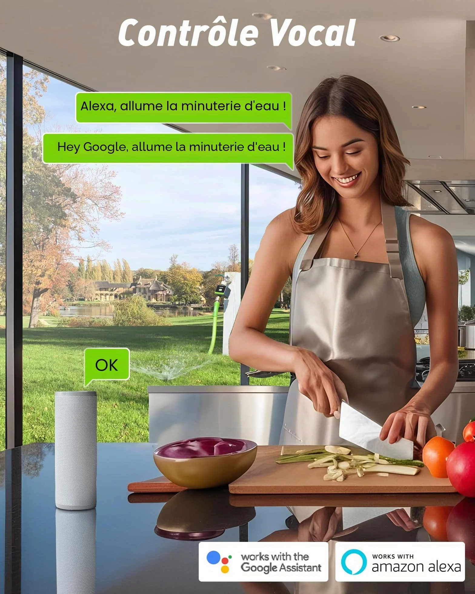 RAINPOINT Programmateur Arrosage WiFi en Laiton, Minuteur Intelligent avec App et Commande Vocale