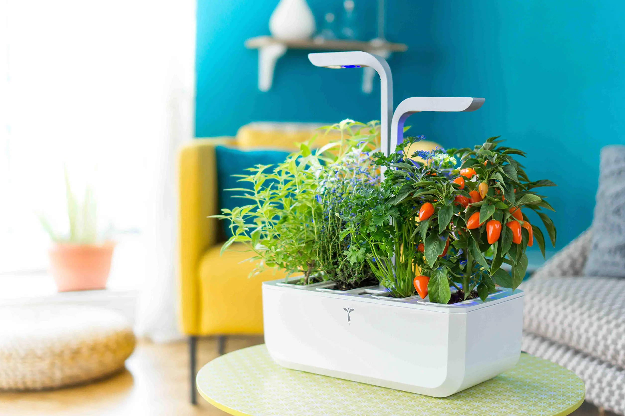 Smart Potager d’Intérieur Fabriqué en France – Jardin Autonome Intelligent avec Technologie Adapt’ Light 4 Lingots