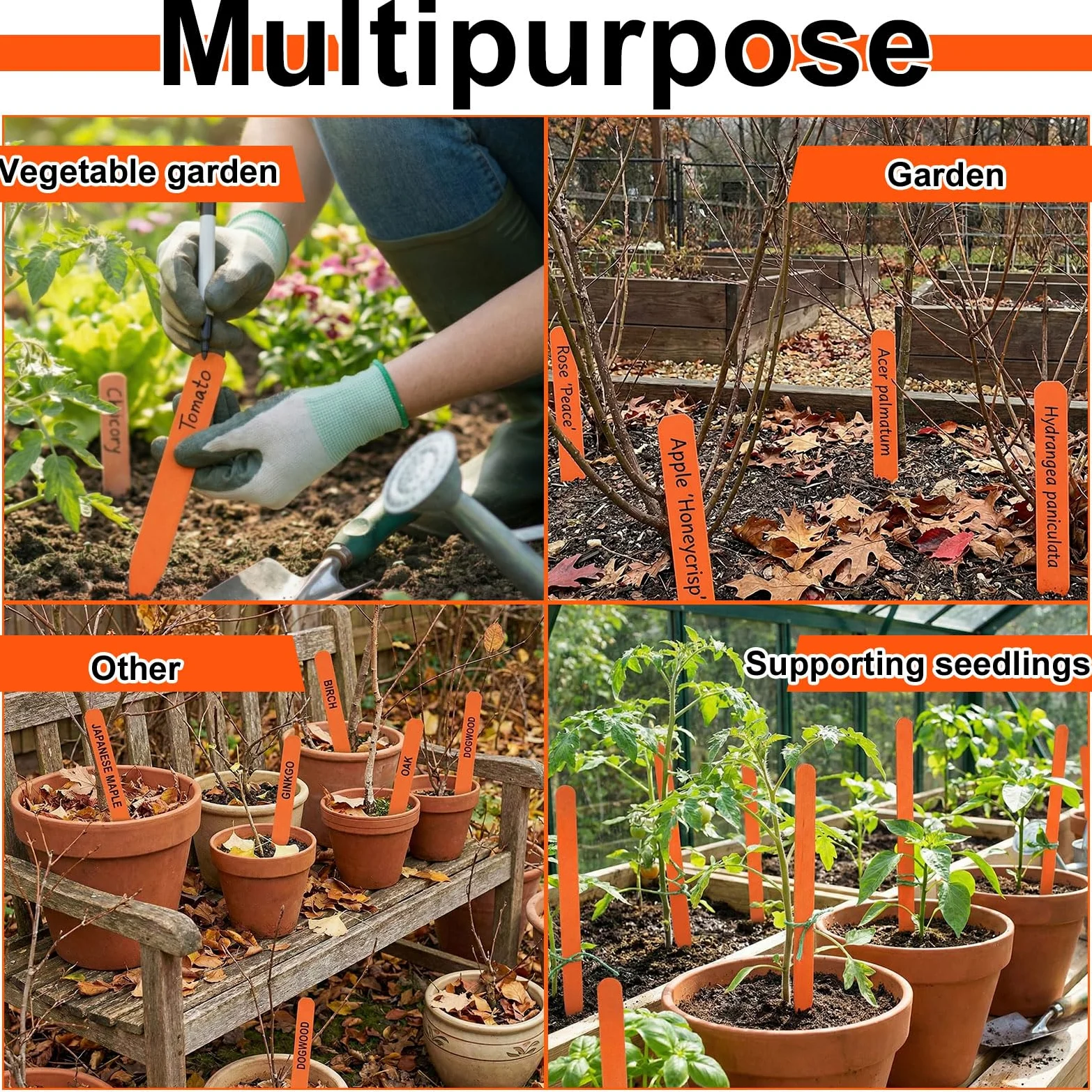 Weysat Lot de 100 étiquettes en bois de 30,5 cm pour plantes de champ ou conteneurs, étiquettes de jardin en bois pour semis, marqueurs, graines de pépinière, étiquettes avec surface lisse pour pots