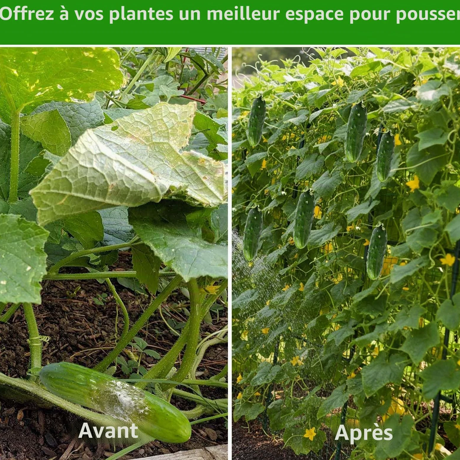 Treillis de concombre 163 x 122 cm pour plate-bande surélevée, plantes grimpantes de jardin en forme de U, treillis en métal pour extérieur, support amovible pour courgettes, concombres, plantes,