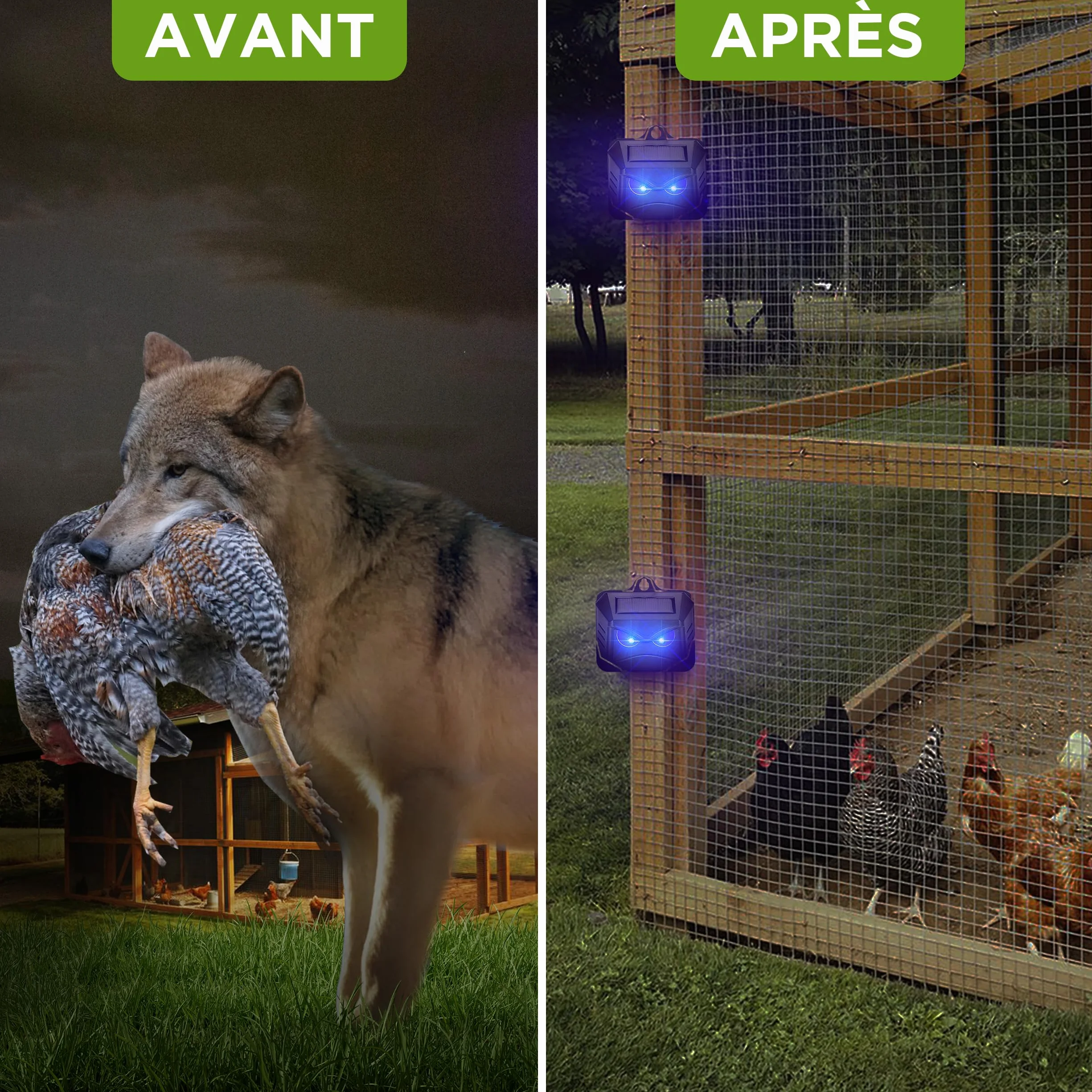 ISOTRONIC Répulsif Solaire Ratons Laveurs Cerfs Renards Sangliers Protection Animaux Sauvages LED Bleue 40 m² Lot de 4 Pièces Jardin
