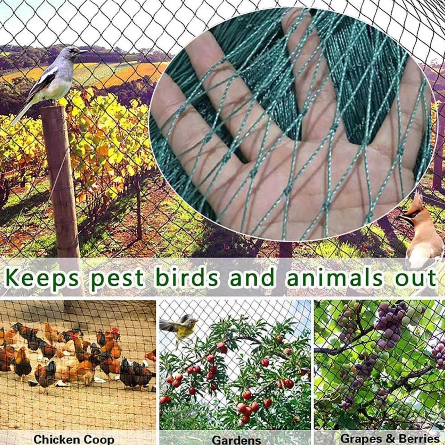 Filet Oiseaux, Filet Arbre Fruitier Filets pour Jardin Potager Protéger Les Plantes, Les Fleurs et Les Légumes,4x10m