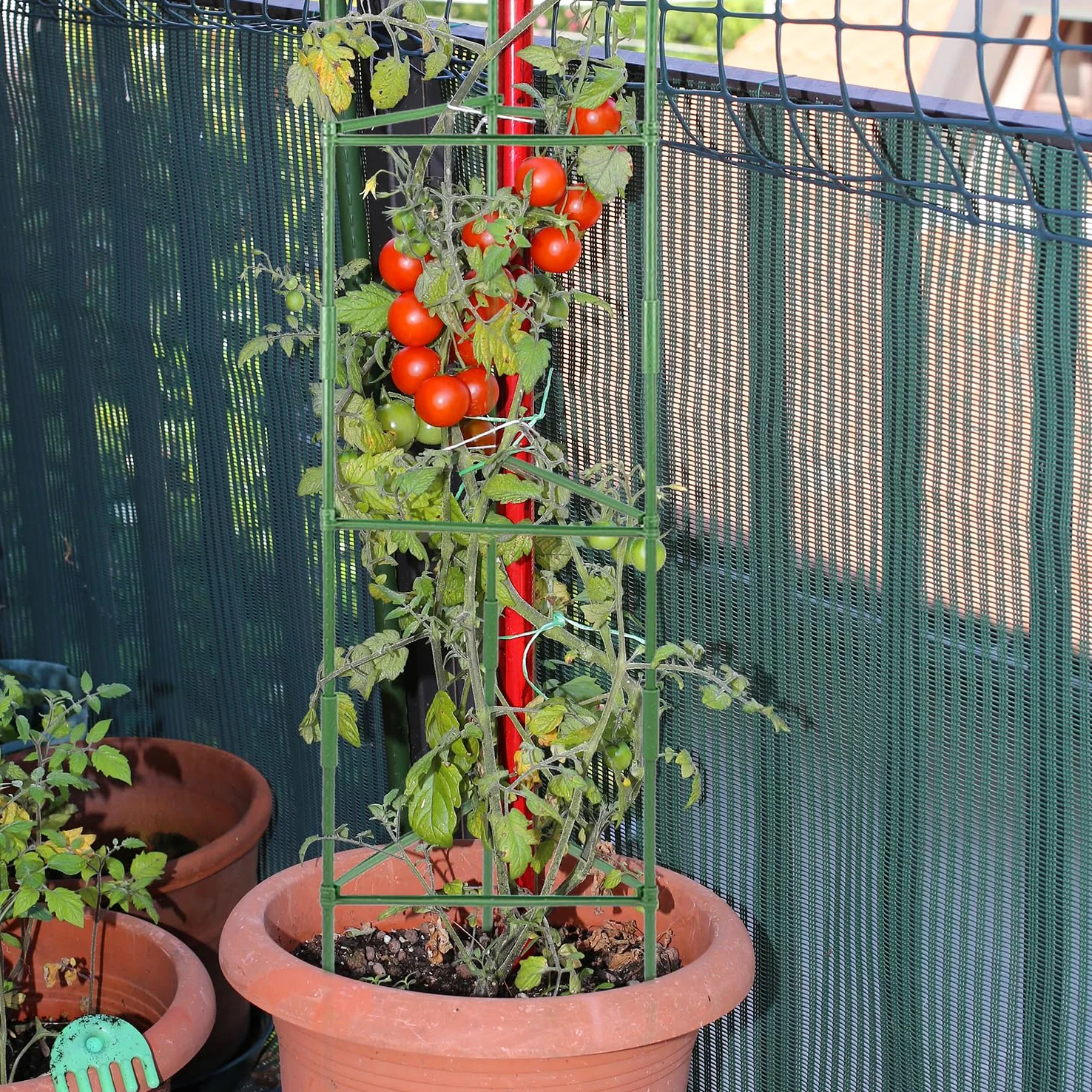 QWORK® 6 Pièces Tuteur Tomate, Support de Plantes, Piquet Tomate, Aides à Grimper 120 cm, pour Tomates, Fleurs, Concombres