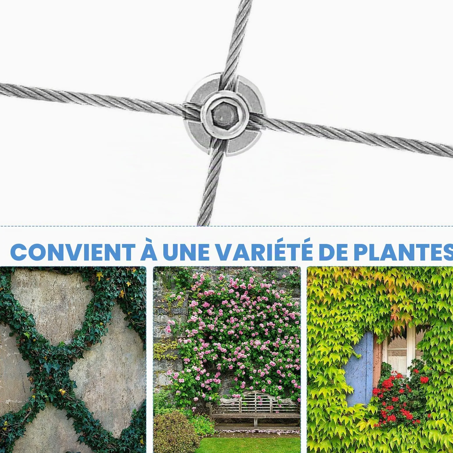 Support pour Plantes Grimpantes, 12m Kit Treillis Fil, 3 mm Corde en Acier Inoxydable Kit avec 8 Supports Muraux pour Vignes Fleurs Légumes