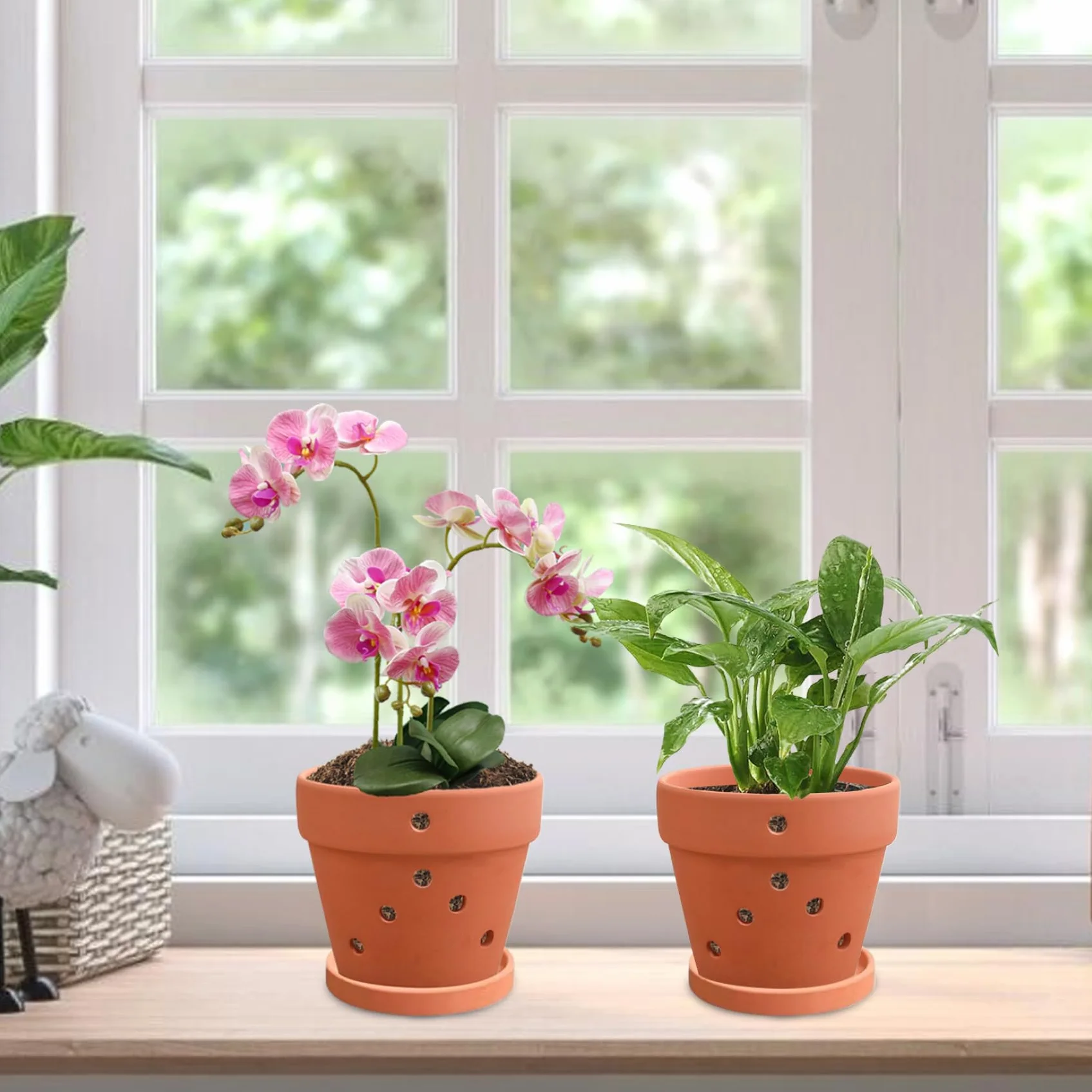 Pots d'orchidées en terre cuite avec trous 4 pouces 3 pièces soucoupes
