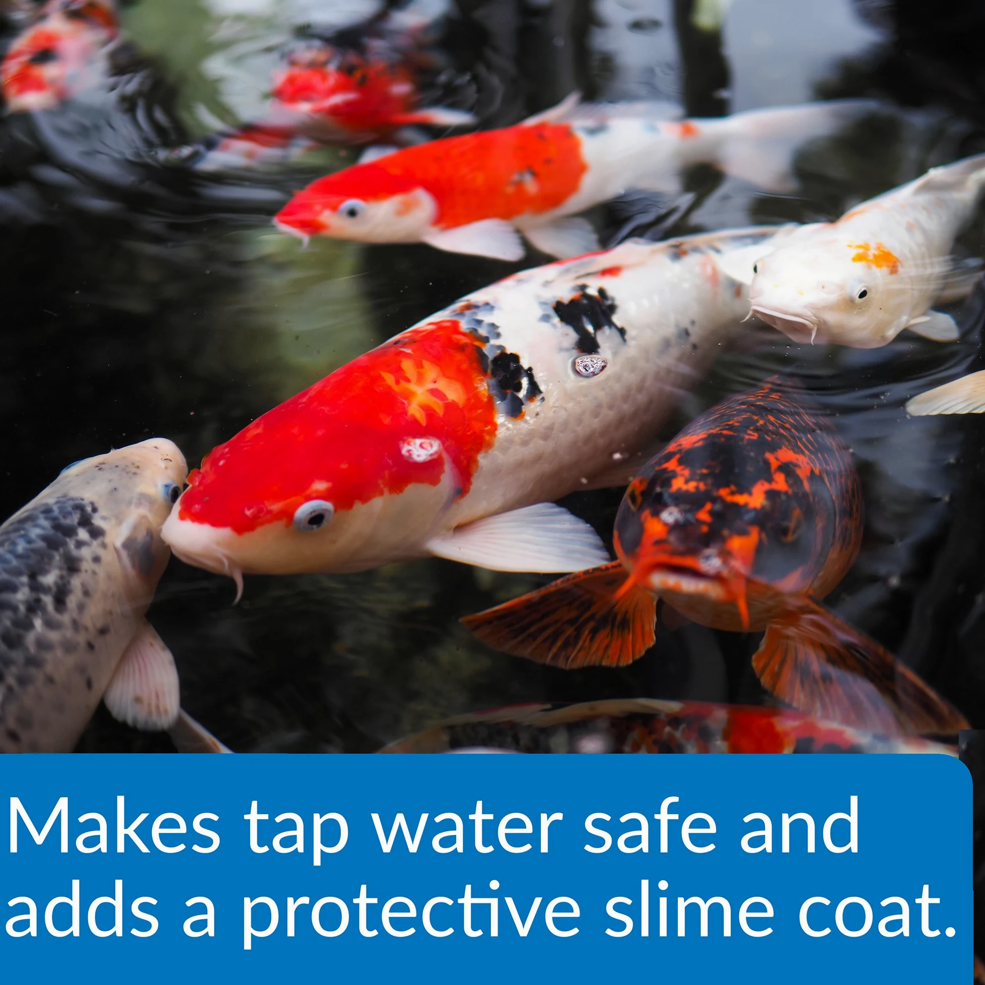 PondCare API Bassin Stress Coat Bassin Conditionneur d'eau