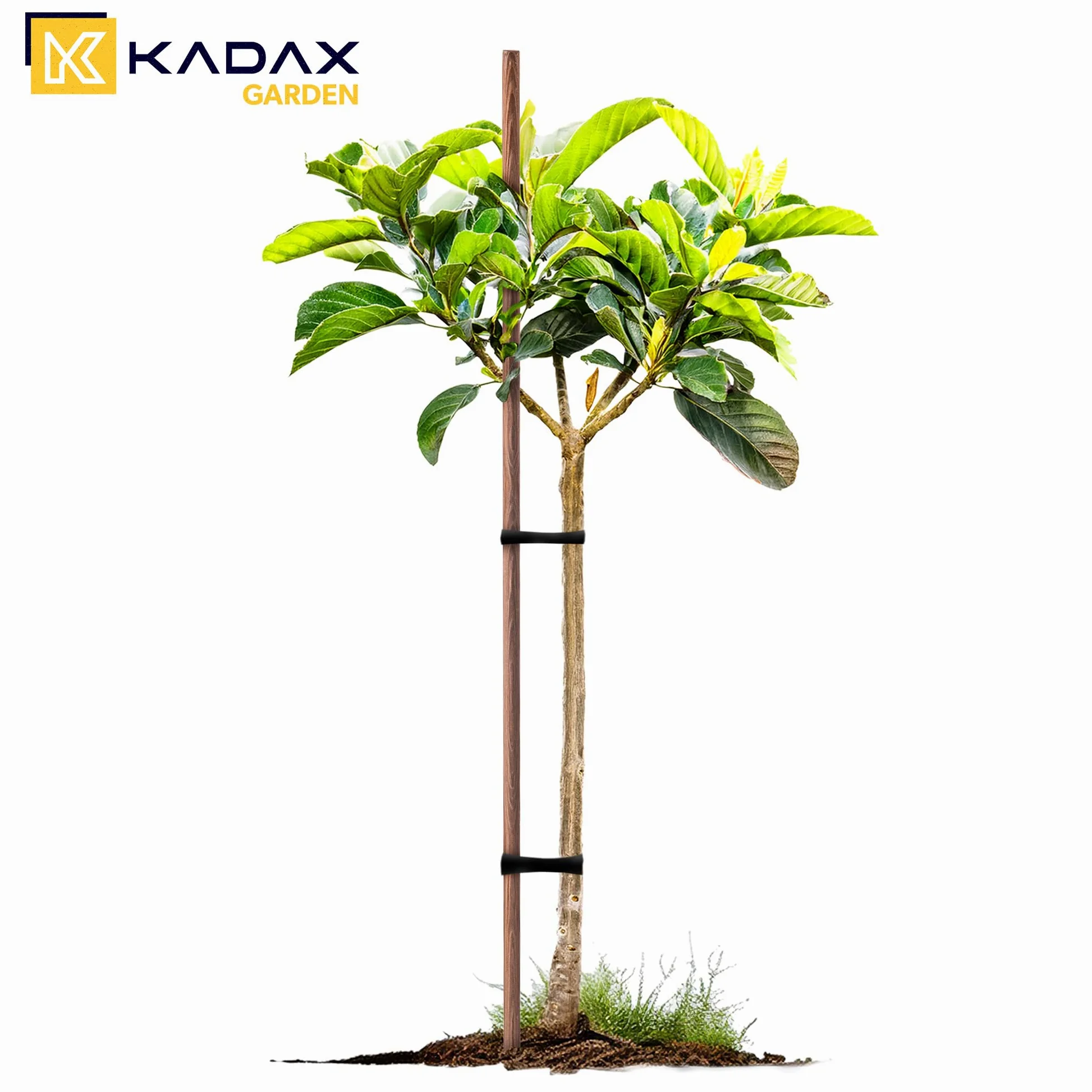 KADAX Bâtons en bois 150 cm x 23 mm, lot de 10, tuteurs en bois imprégné, piquets en bois comme aide à l'ascension pour plantes, arbres, tomates et arbustes, tuteur pour tomates