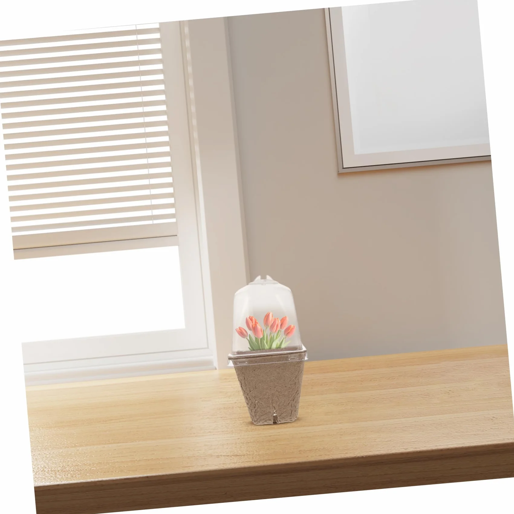 iplusmile Pots de Semis Carrés avec Dôme Ventilé en Pâte de Papier Lot de 36