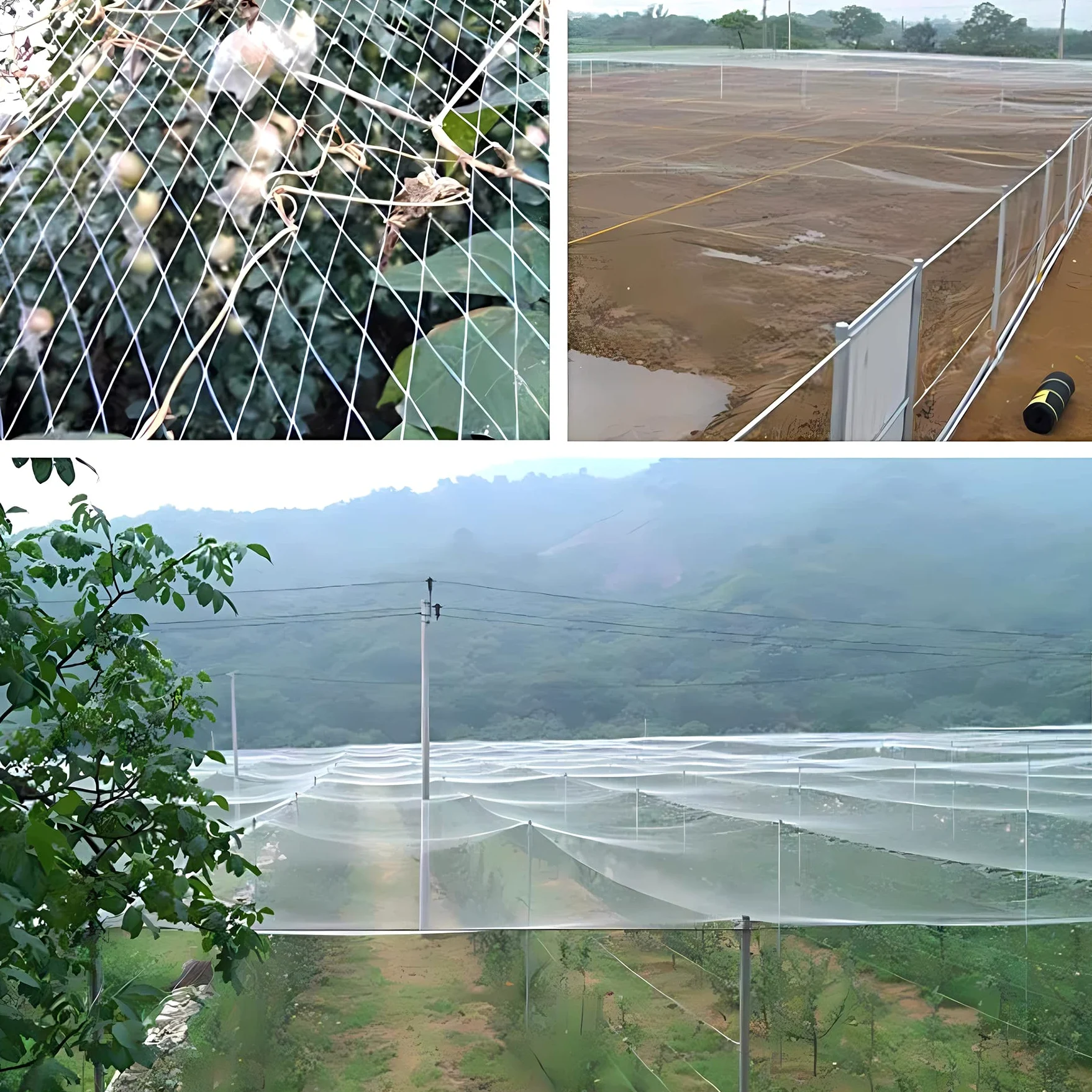 Filet Anti Oiseaux en Maille Filet de Protection Jardin(5m x 15m) | Filet Anti Pigeon Transparent, Filet Anti-Oiseaux pour Balcon, Bassin, Fruits, Légumes et Plantes, Oiseaux Contrôle