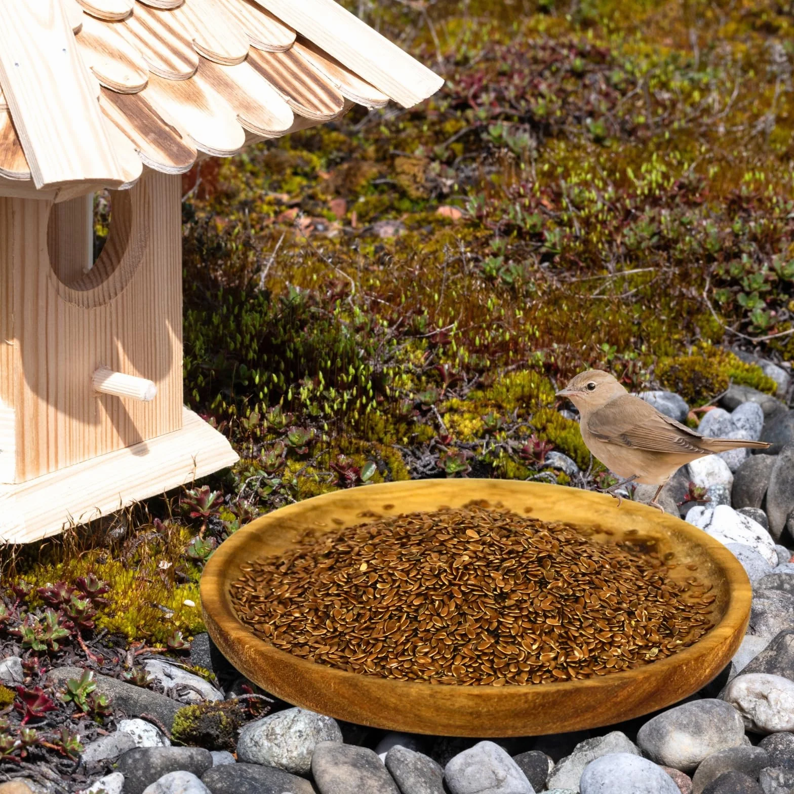 Lyra Pet® 25 kg graines de lin complément alimentaire pour oiseaux sauvages petits rongeurs riche en oméga-3 fibres protéines