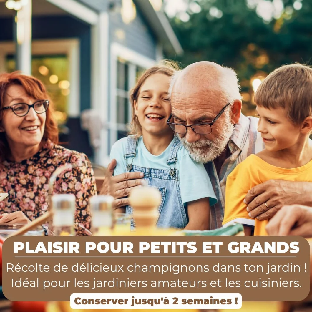 Hawlik Kit Champignons de Paris - Lot de 2 Cultures - Blancs et Bruns