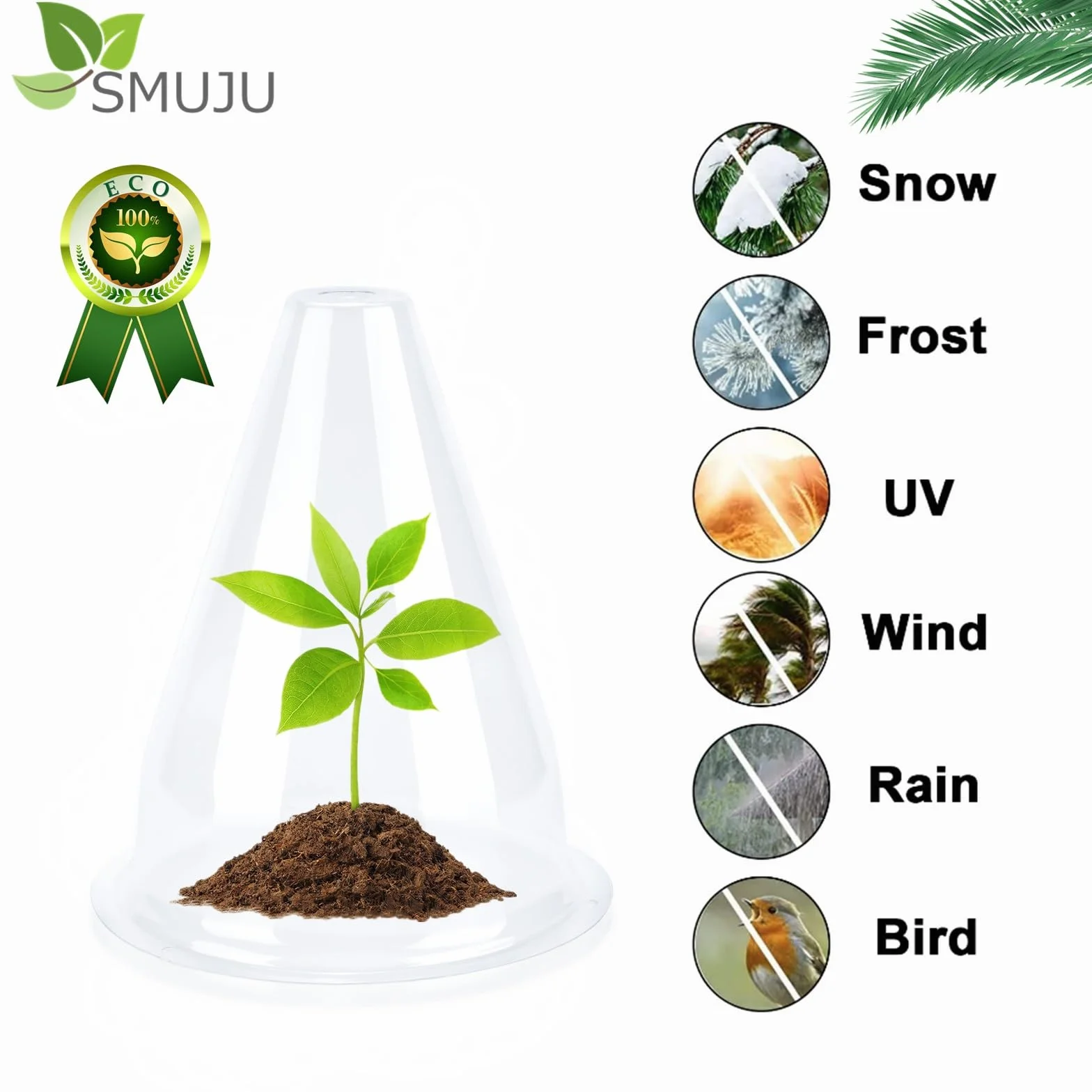 Chapeaux de Plantes Transparent 20 cm 24 Pièces Protection Oiseaux Gel Intempéries
