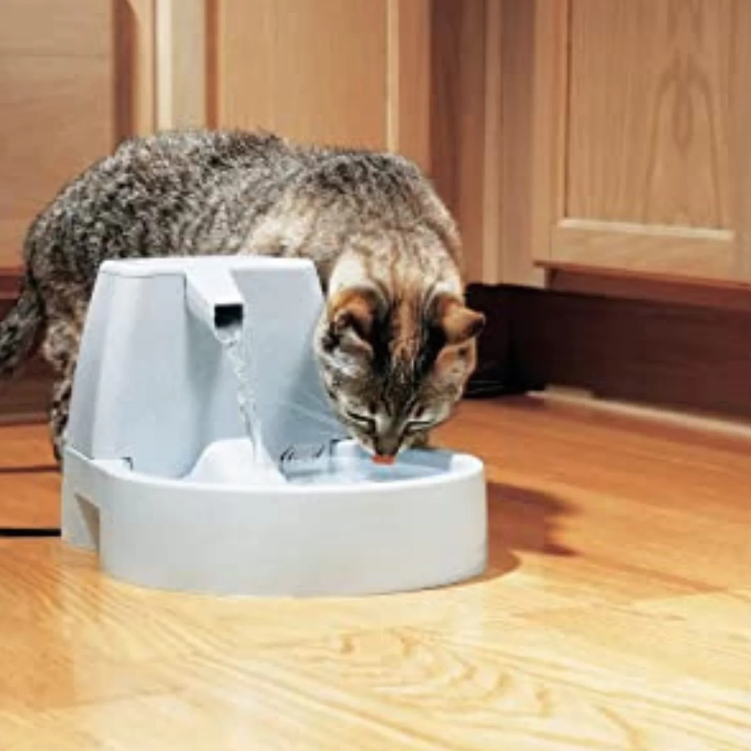 PetSafe Drinkwell Pompe de Remplacement pour Fontaines pour Animaux Platinum Original