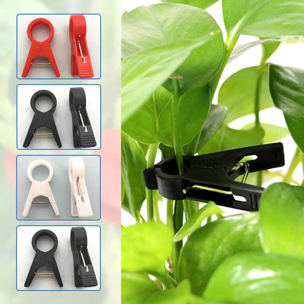 Lot de 30 clips de support de plantes pour treillis, pinces durables pour tomates et légumes du jardin, fixations faciles à utiliser, tailles 18 mm/30 mm