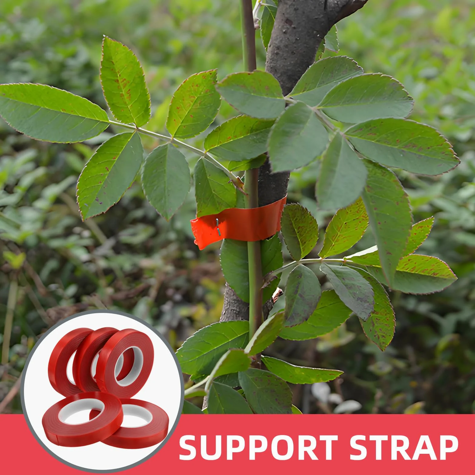 Lot de 10 attaches pour plantes en PVC pour jardin et intérieur, parfaites pour soutenir les légumes et les fleurs, reliure solide pour le jardinage et l'aménagement paysager