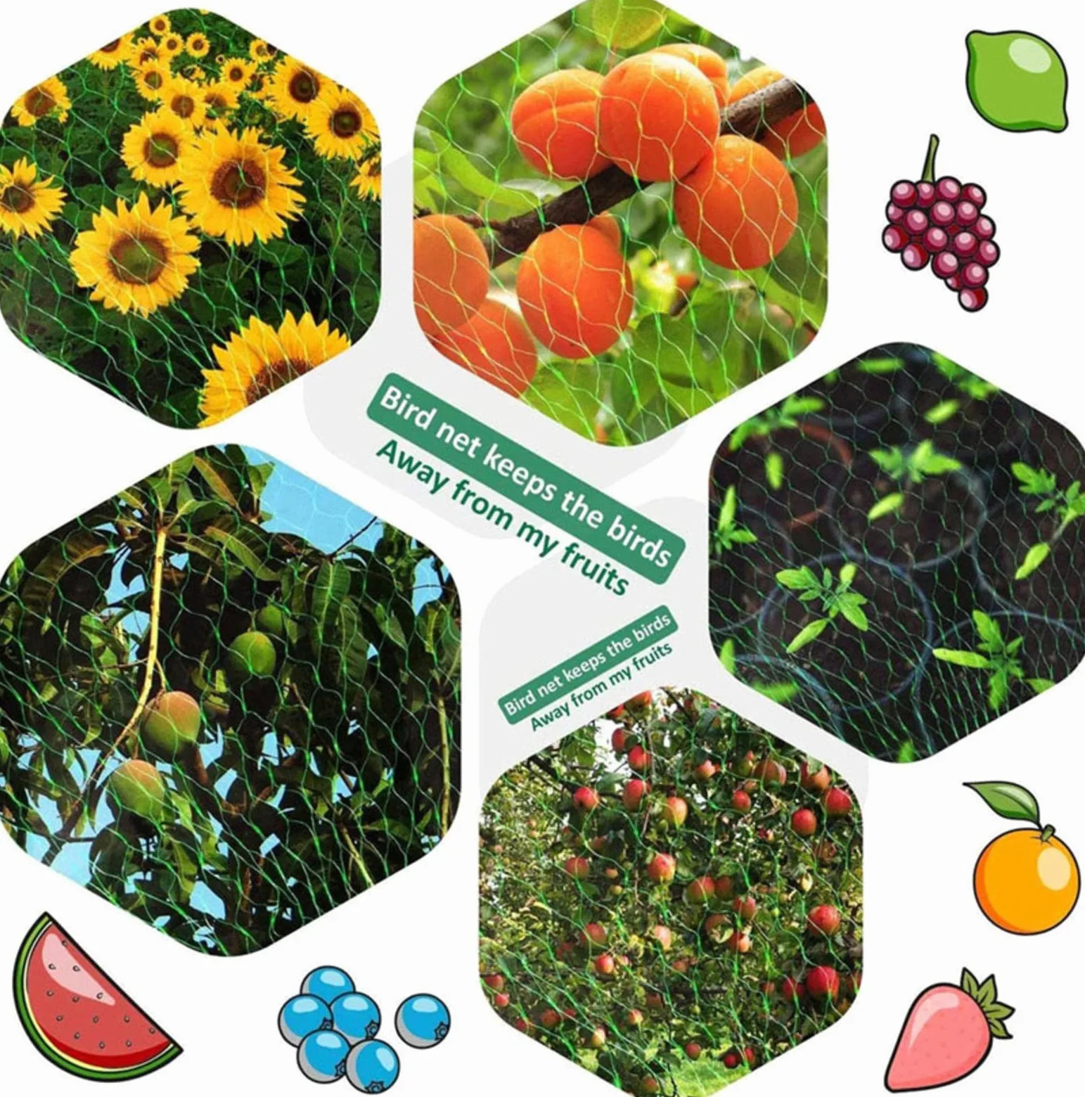 Filet Oiseaux, Filet Arbre Fruitier Filets pour Jardin Potager Protéger Les Plantes, Les Fleurs et Les Légumes,4x10m